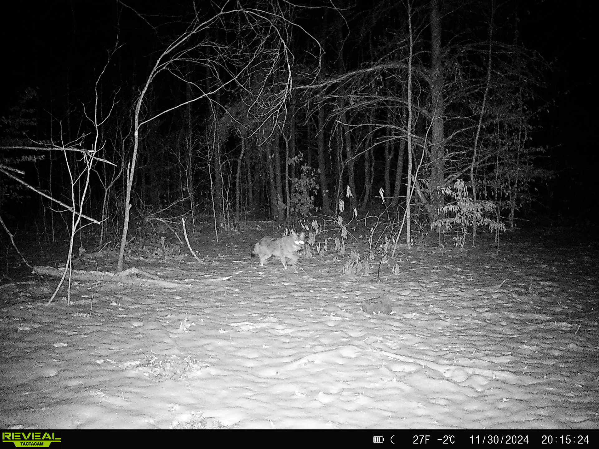 78720 County Road 376 Coloma MI 49038