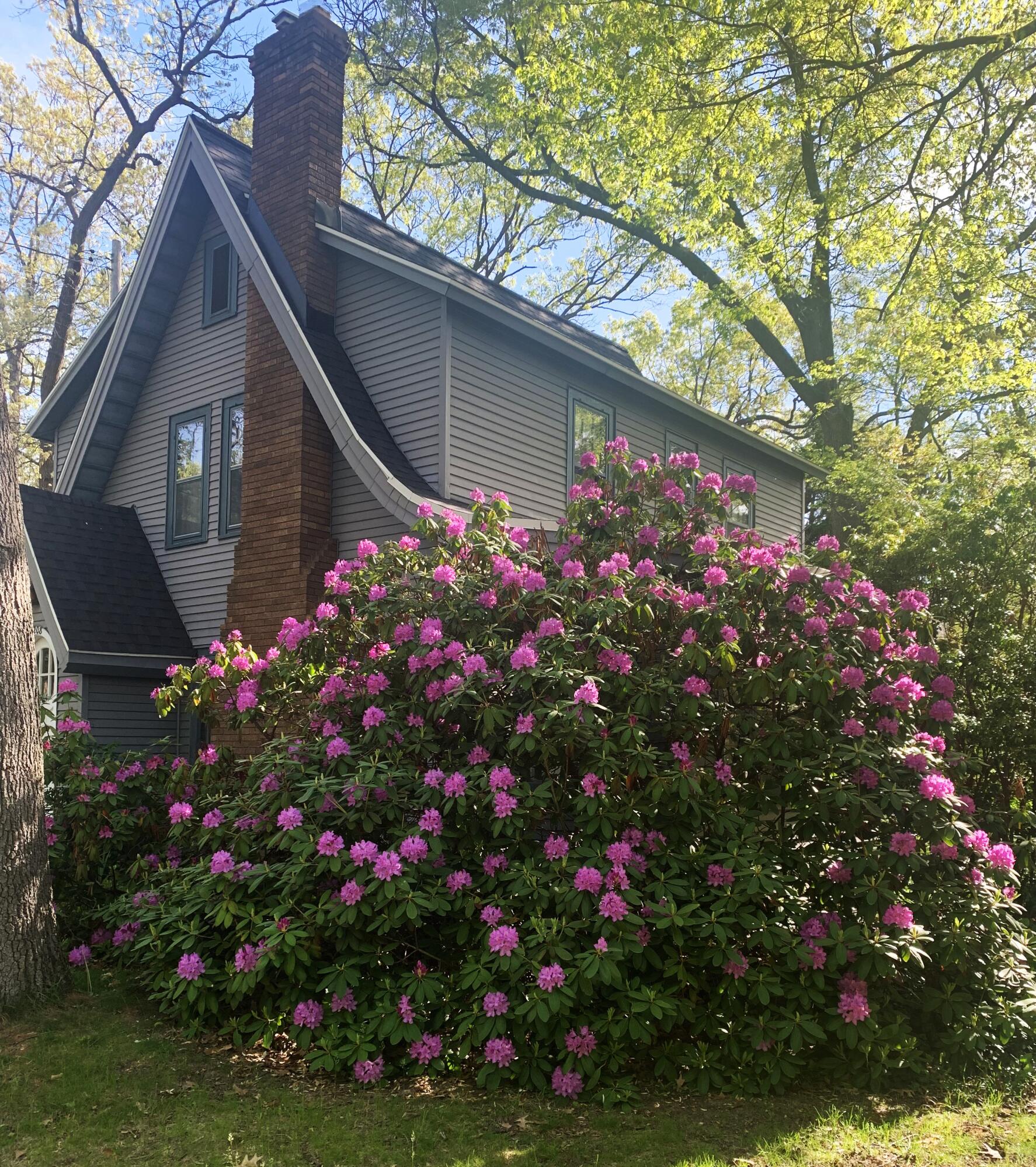2208 E Blaine Avenue SE Grand Rapids MI 49507
