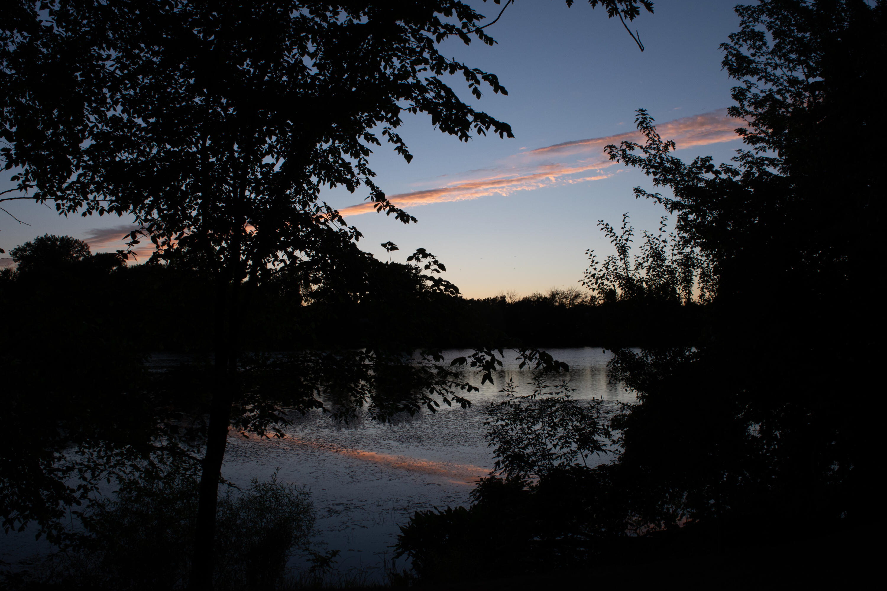 3785 Willow Drive NE Grand Rapids MI 49525