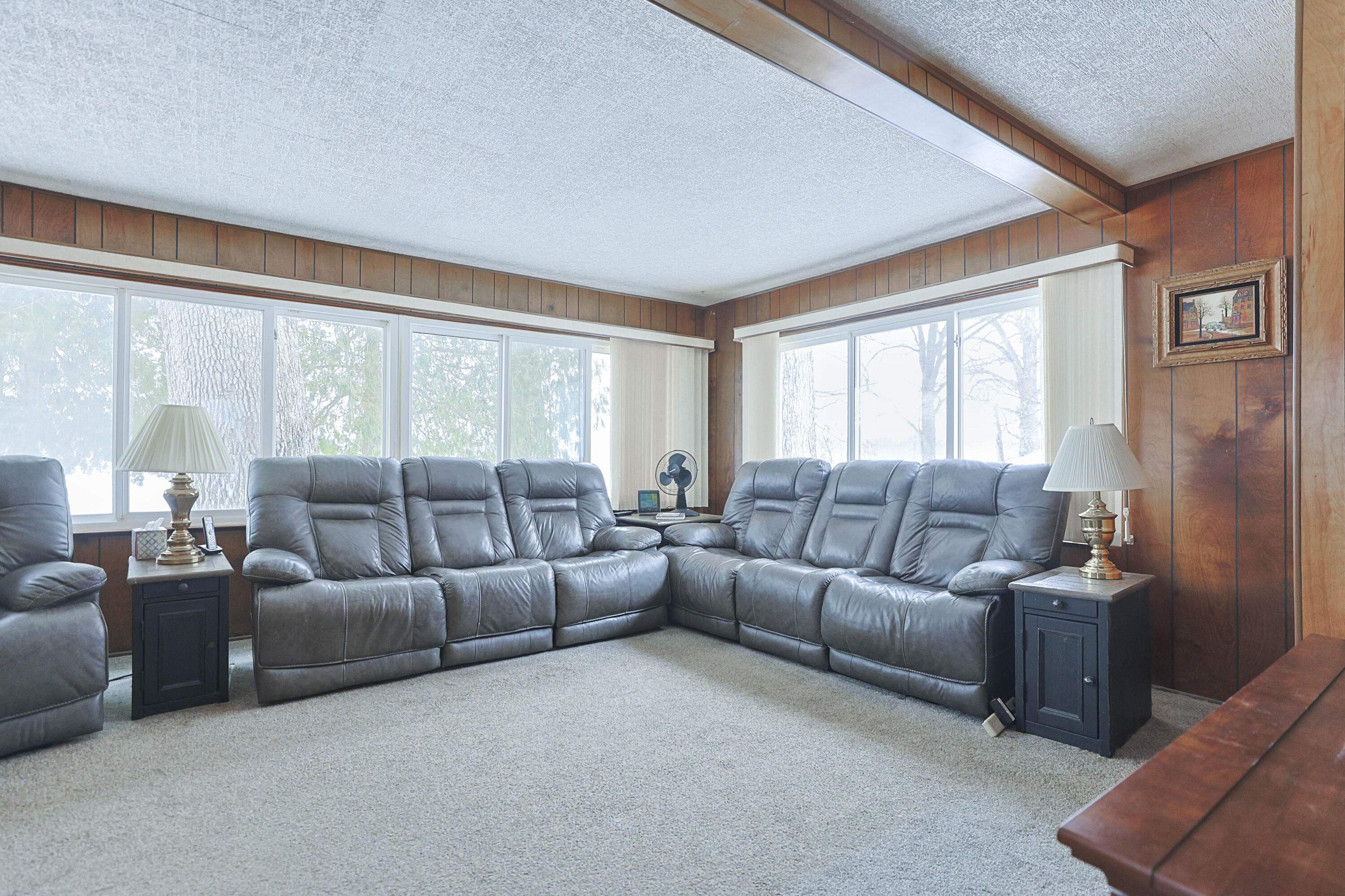 15899 Lakeview Drive Buchanan MI 49107