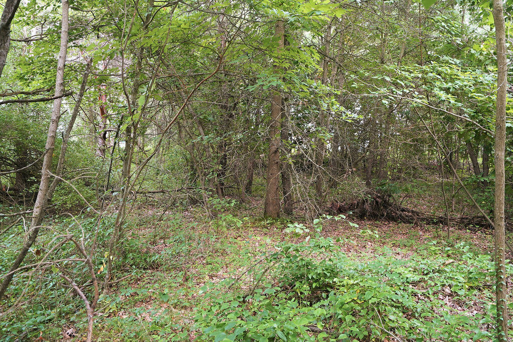 919 Armintrout Ridge Court Allegan MI 49010