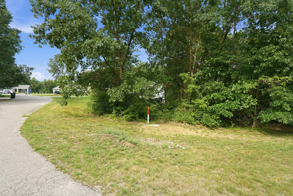 919 Armintrout Ridge Court Allegan MI 49010
