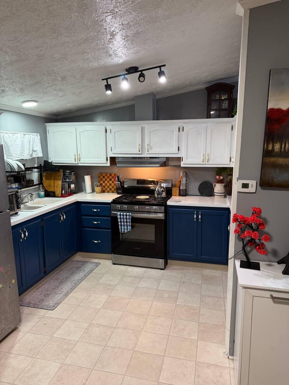 421 Fulton Street Buchanan MI 49107