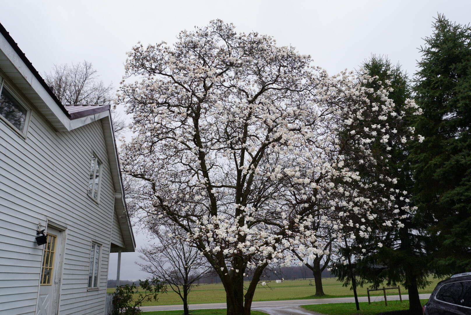59757 White Temple Road Vandalia MI 49095