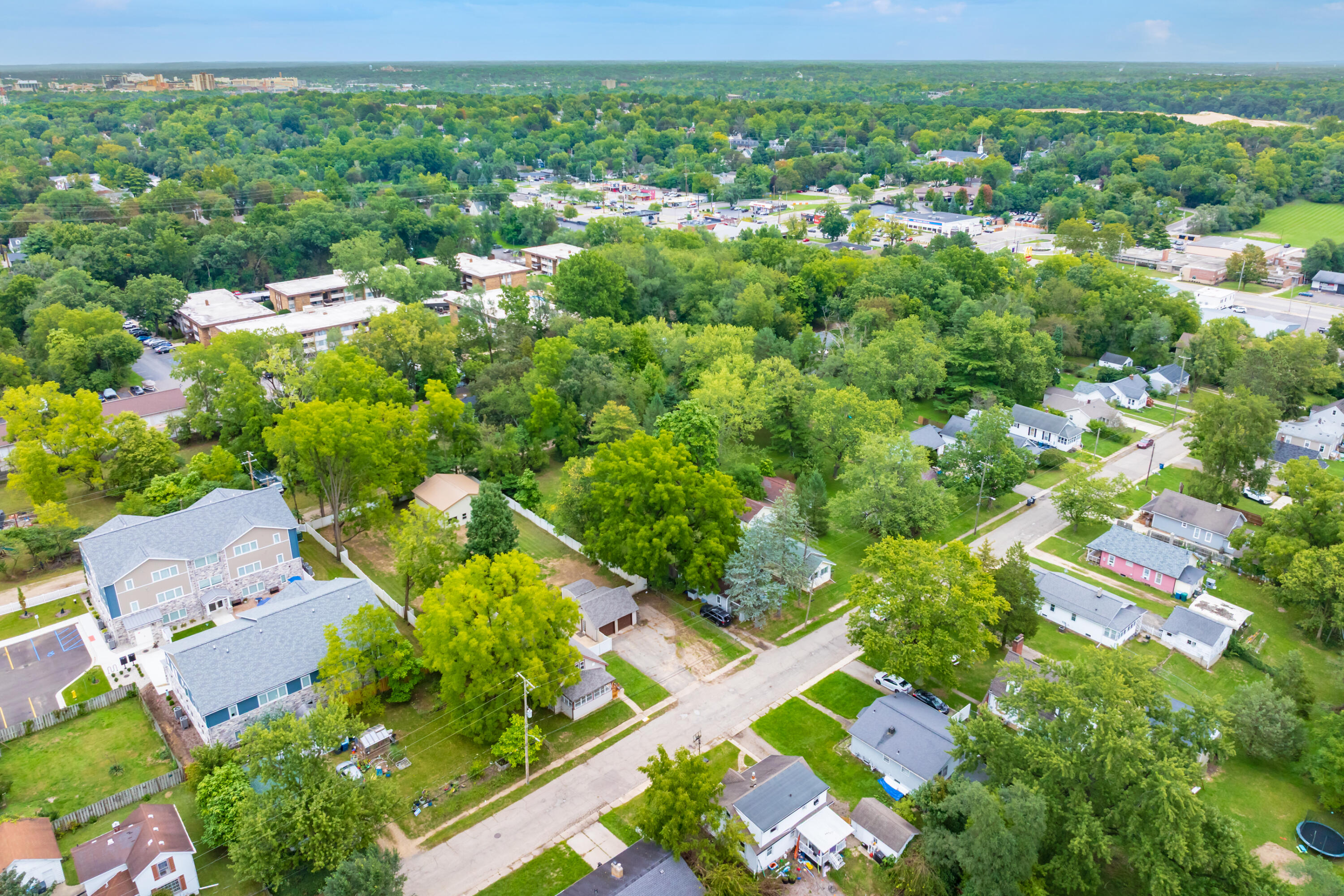 736 Hutchinson Street Kalamazoo MI 49008