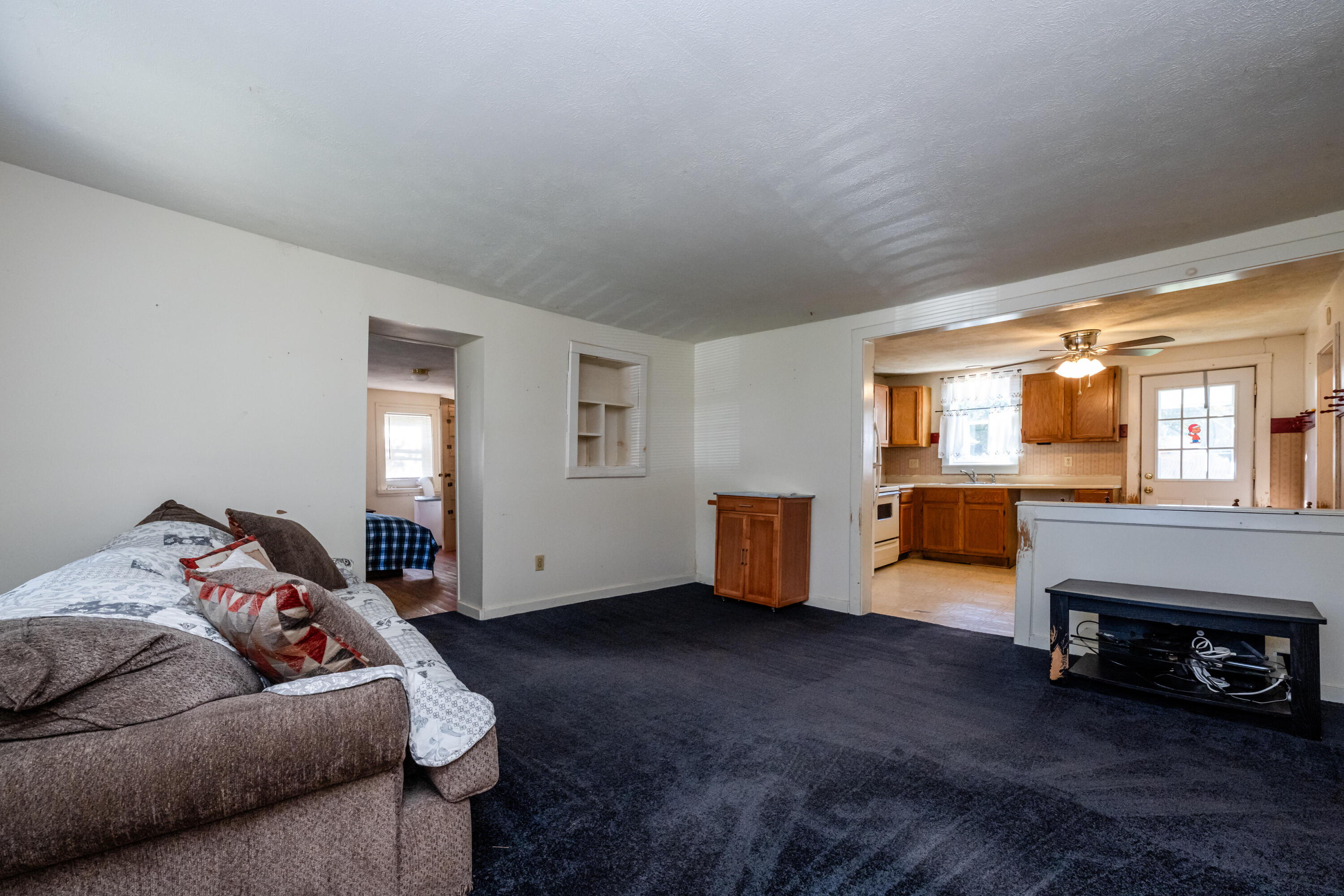 317 S Harrison Street Berrien Springs MI 49103