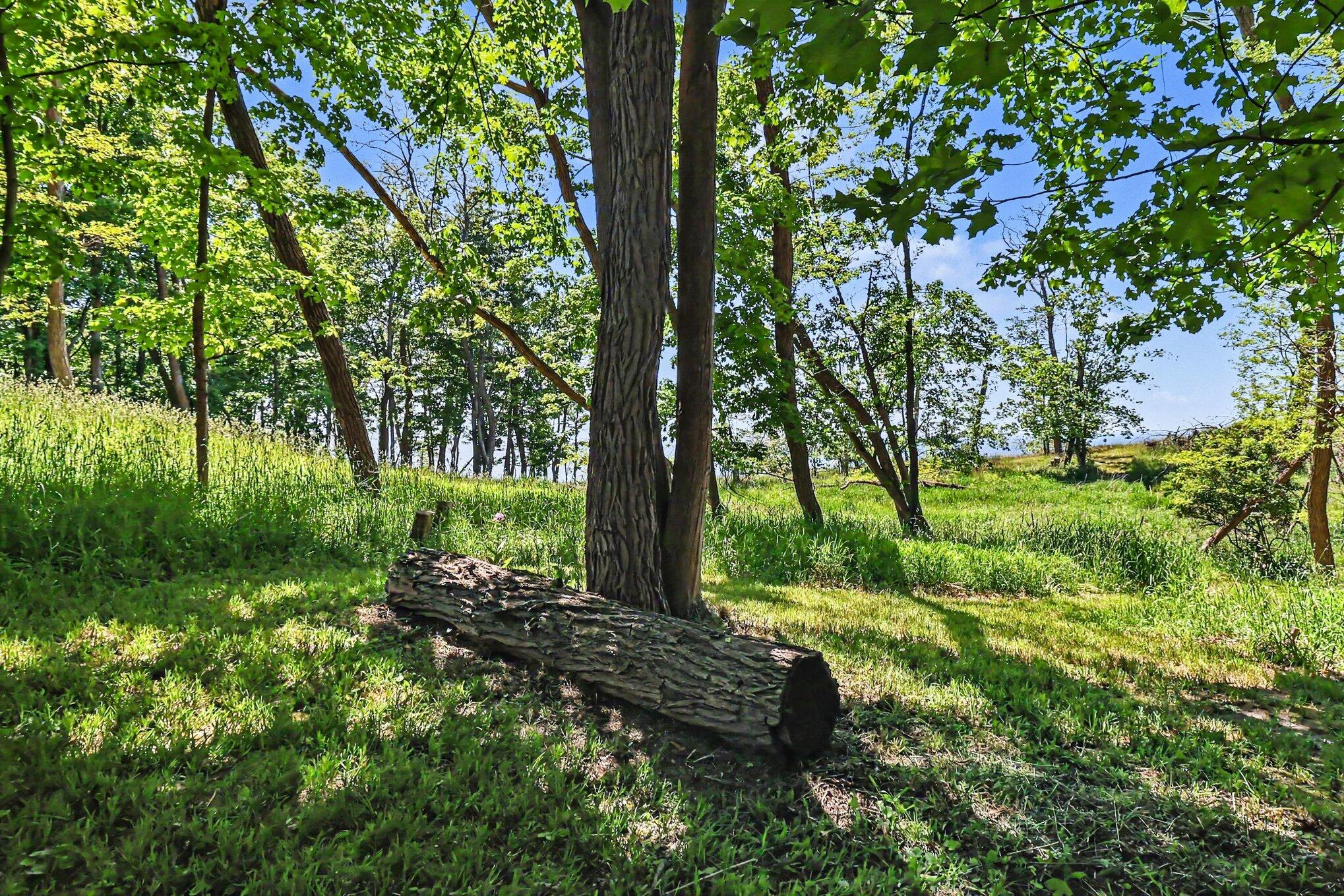 4539 S Lakeshore Drive Ludington MI 49431