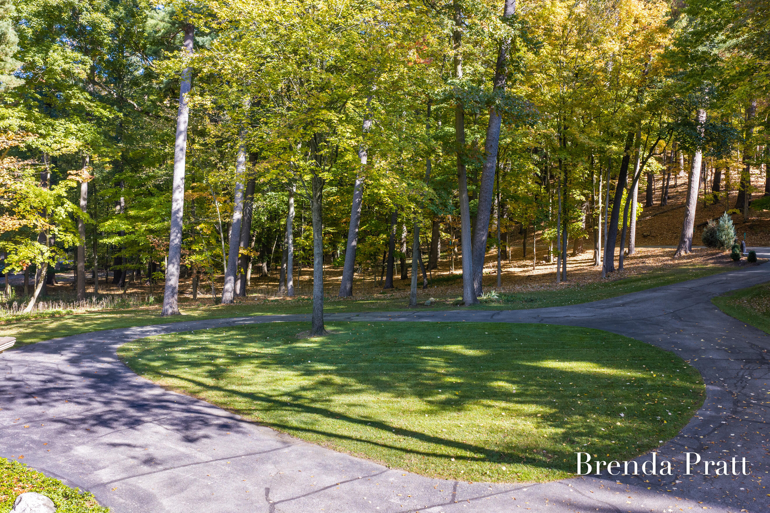 2009 Timber Trail Drive SE Ada MI 49301