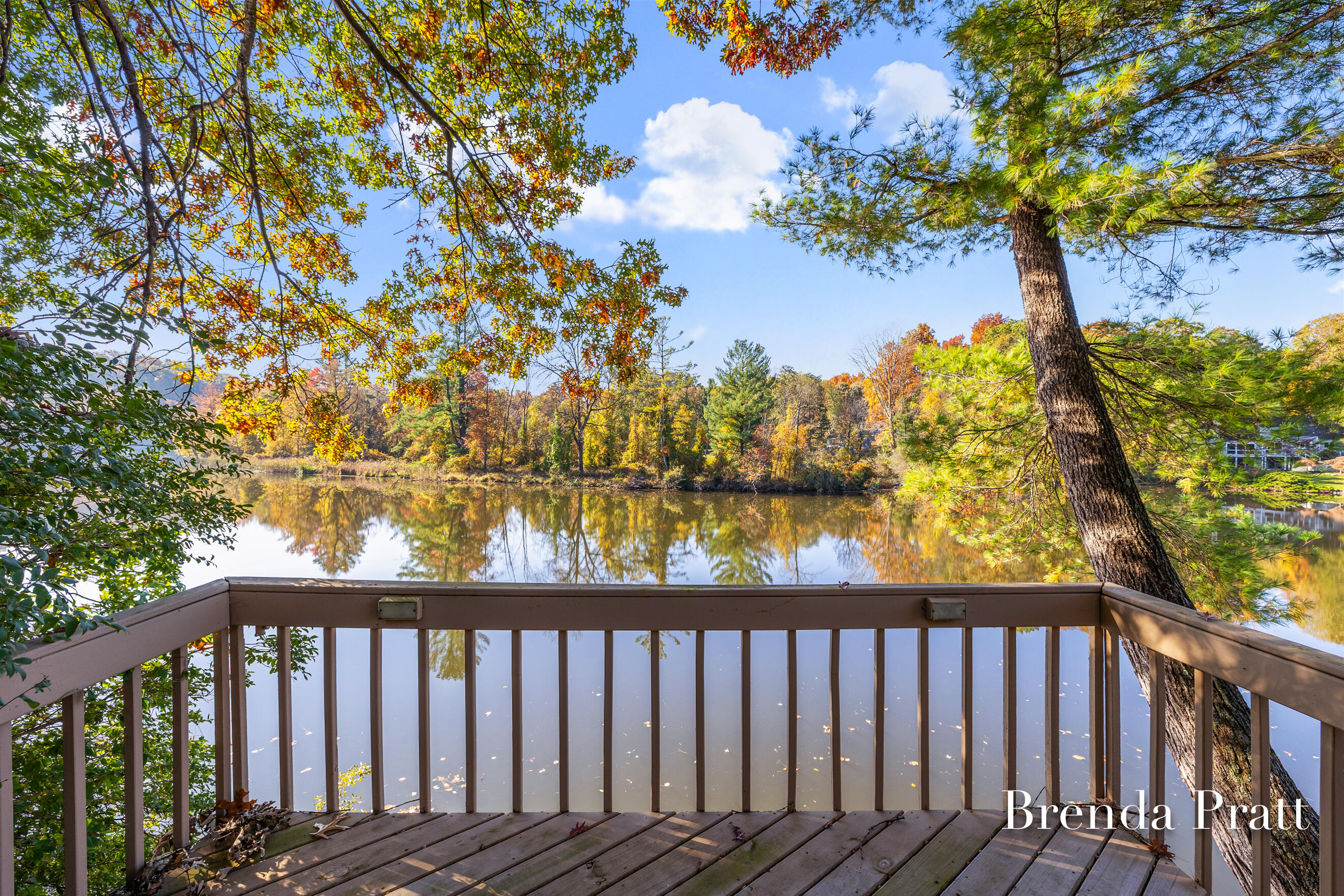 2009 Timber Trail Drive SE Ada MI 49301
