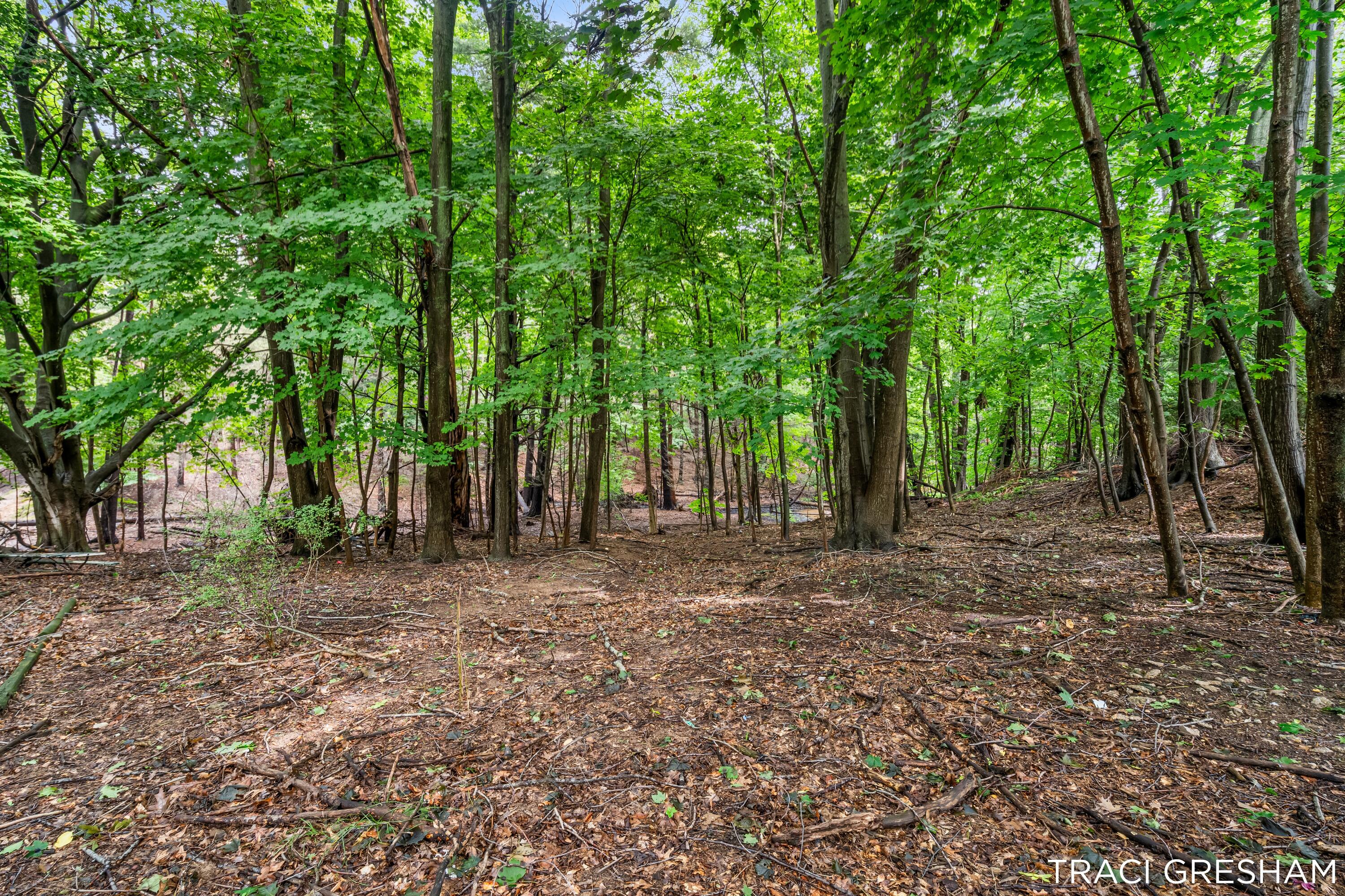 3740 Lake Harbor Road Norton Shores MI 49441