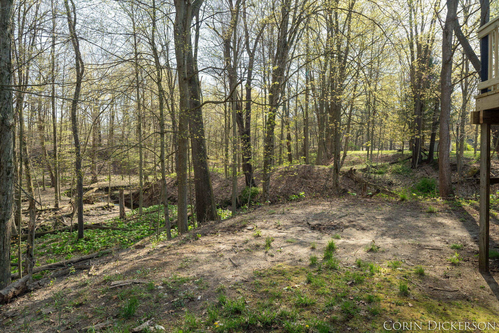 258 Lowe Street Allegan MI 49010