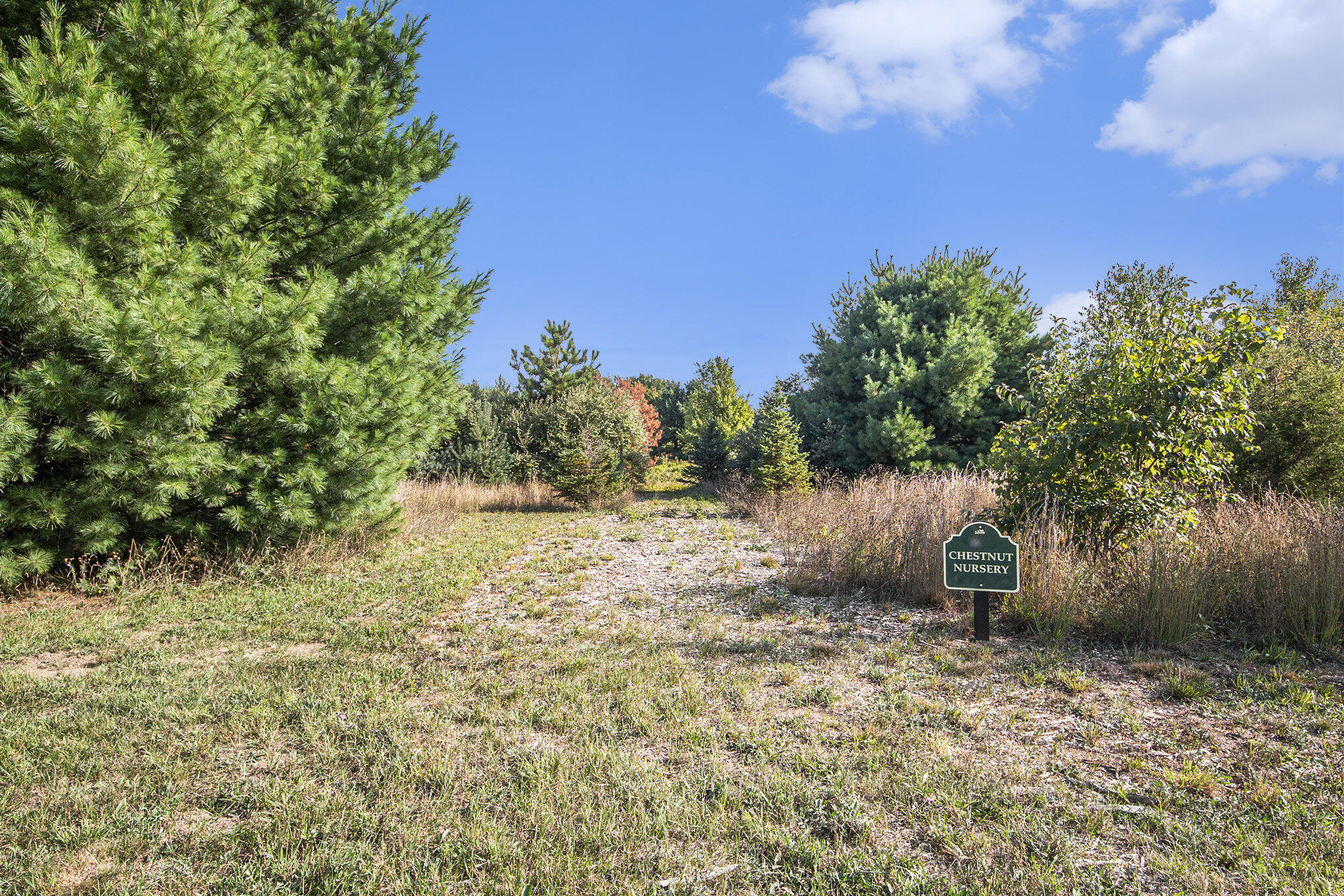 1985 68th Street Fennville MI 49408