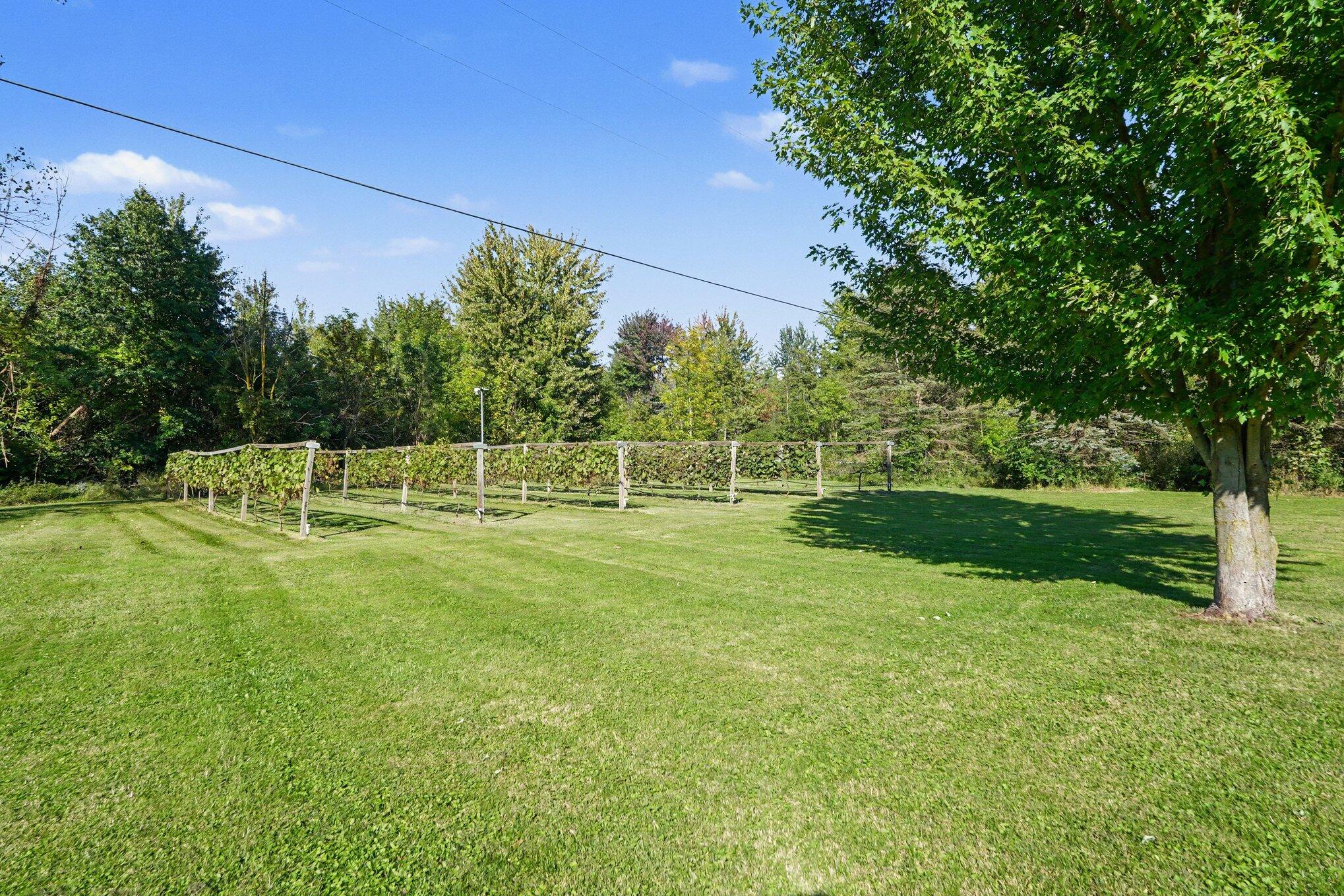 8015 Quincy Street Zeeland MI 49464
