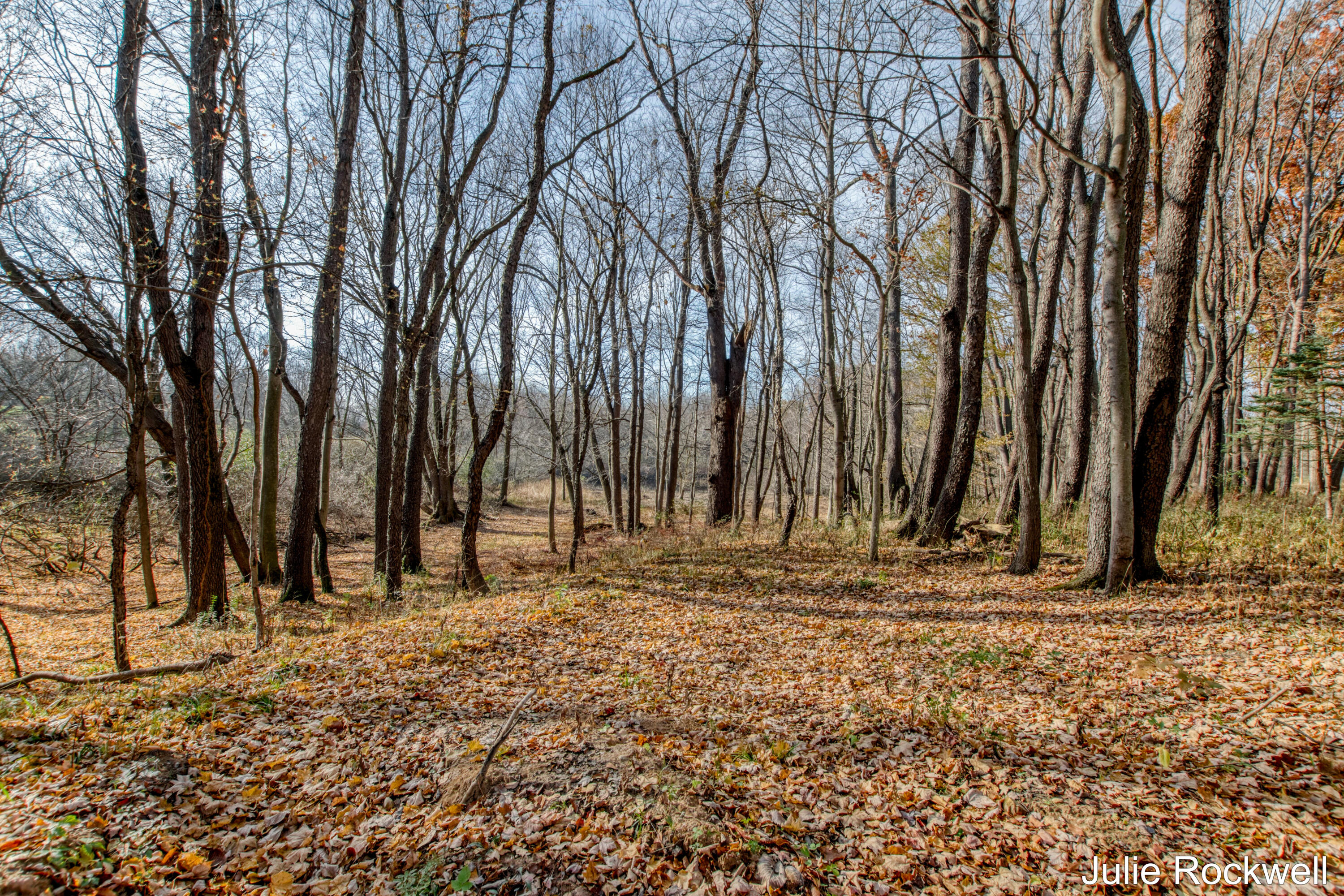 647 Crahen Avenue NE Grand Rapids MI 49525