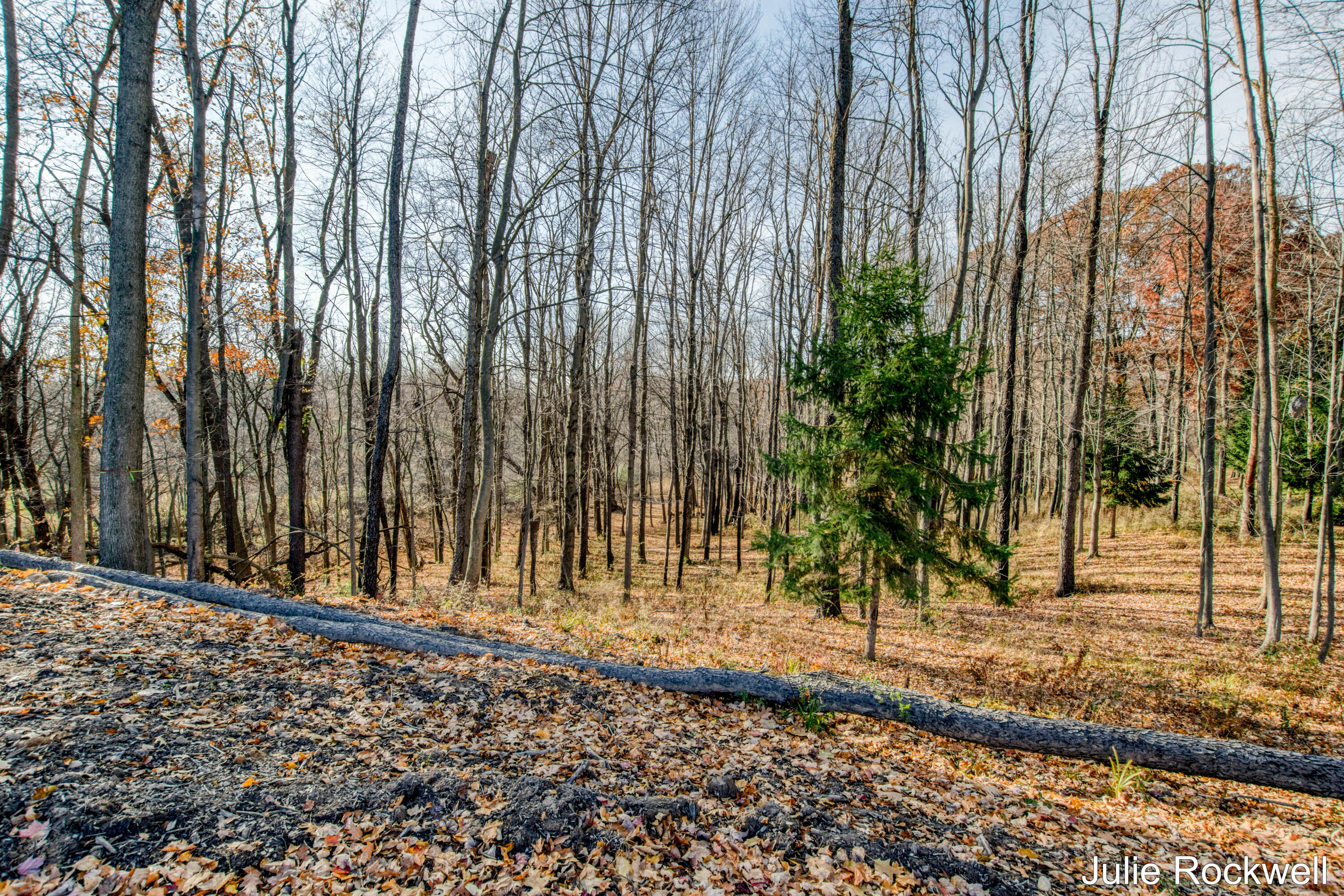 647 Crahen Avenue NE Grand Rapids MI 49525