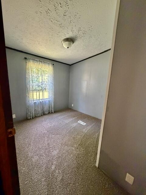 3130 134th Avenue Hopkins MI 49328