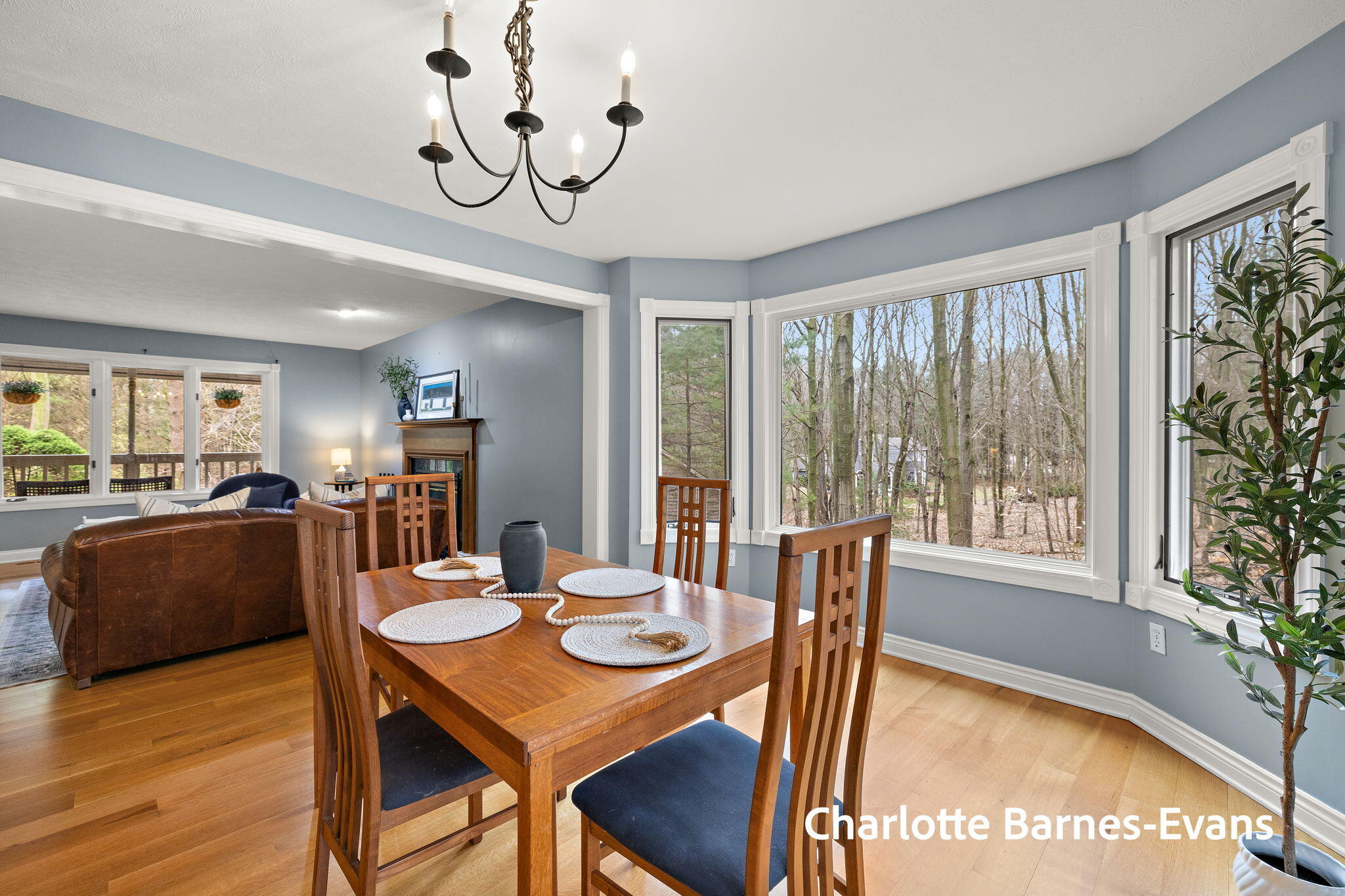 17141 Whitney Ridge West Olive MI 49460