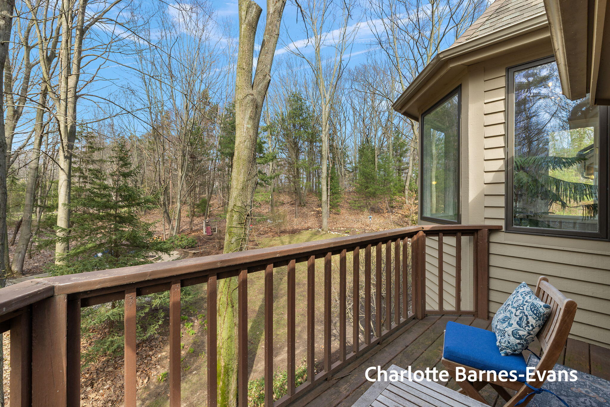 17141 Whitney Ridge West Olive MI 49460