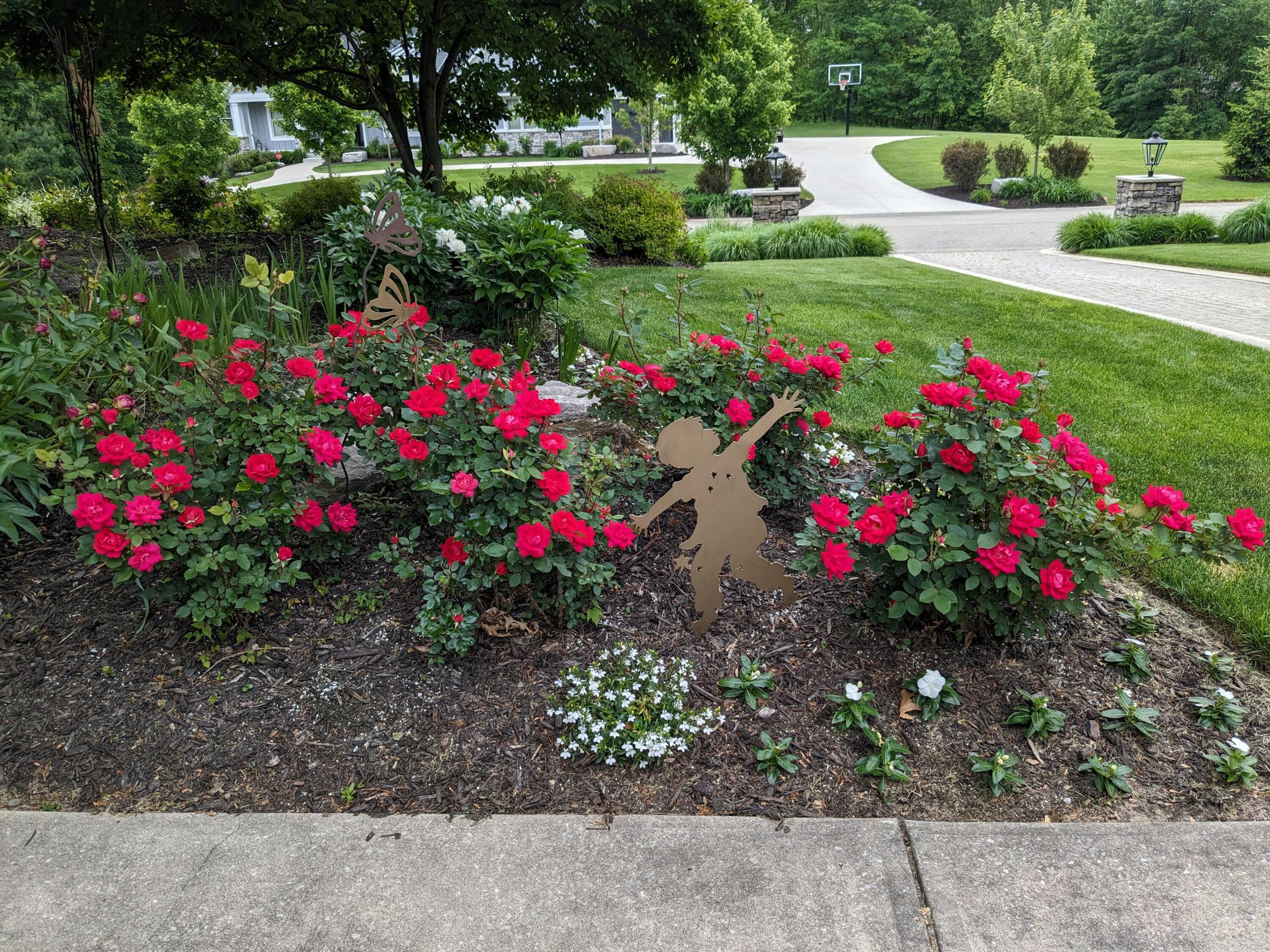 4209 N Oak Pointe NE Grand Rapids MI 49525