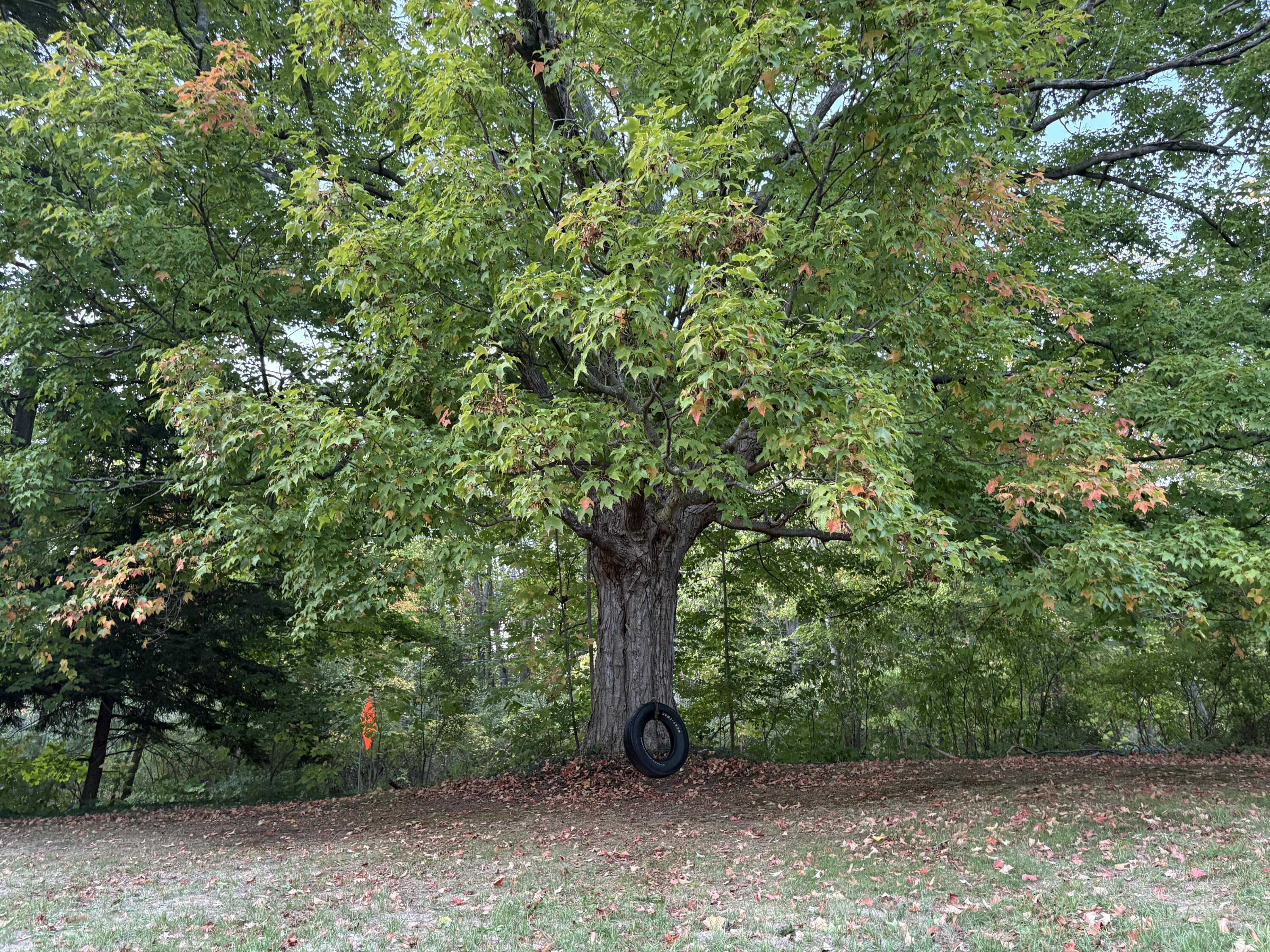 4436 Fennessey Street SW Grand Rapids MI 49534