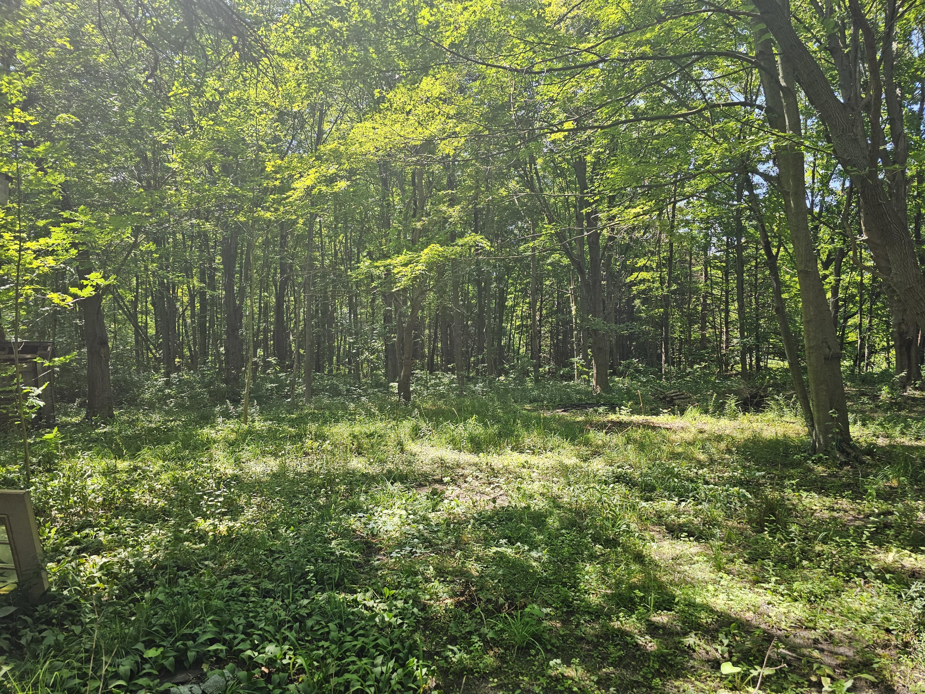2986 W Thar Road Coloma MI 49038