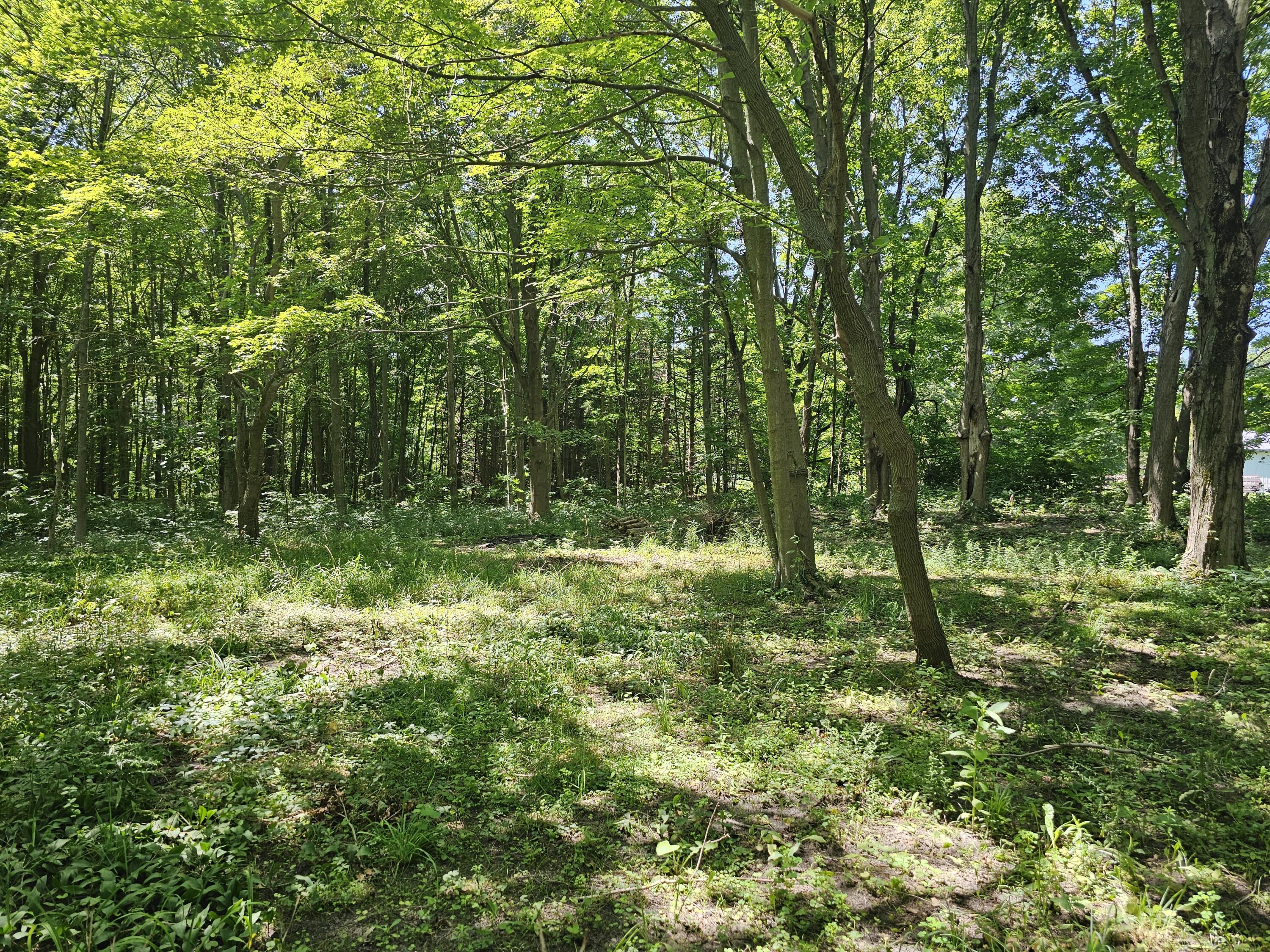 2986 W Thar Road Coloma MI 49038
