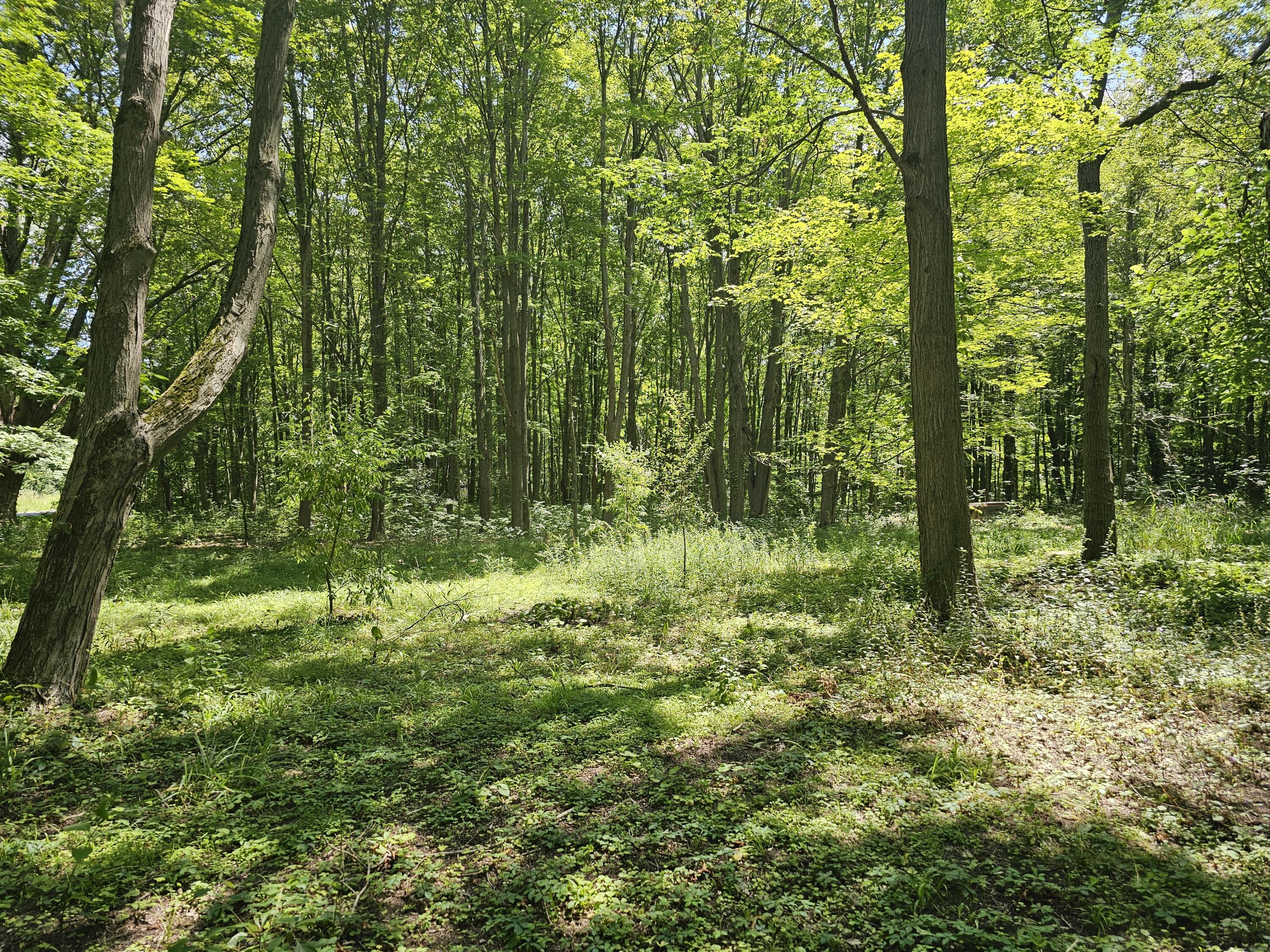 2986 W Thar Road Coloma MI 49038