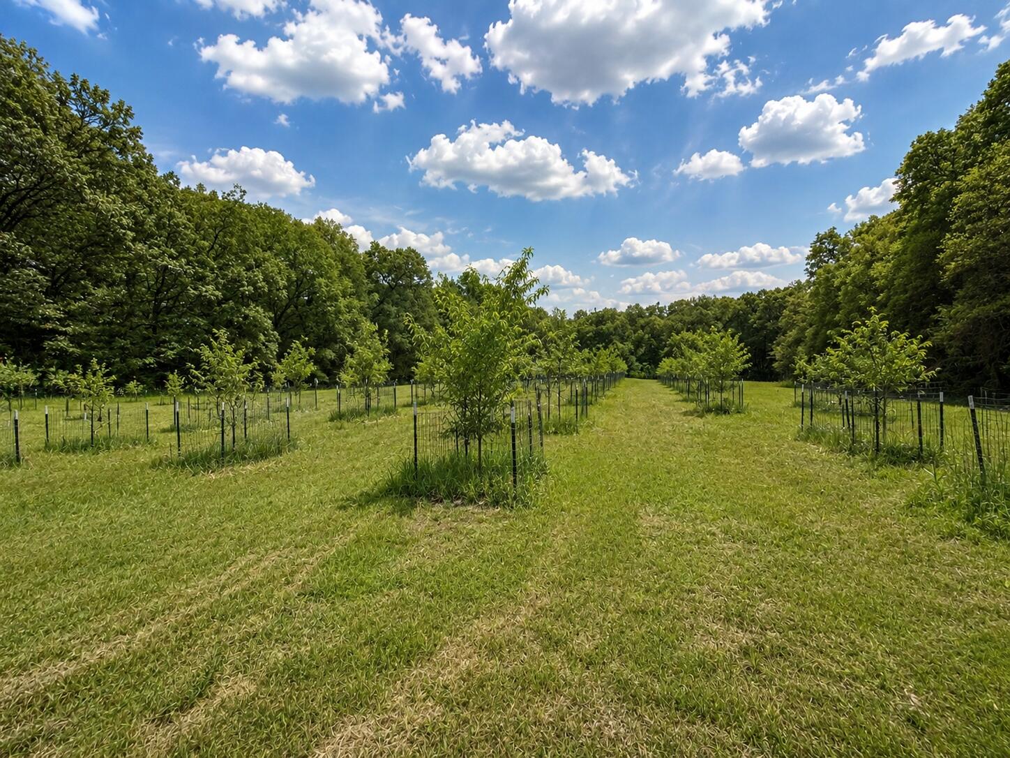 27661 Pine Lake Street Edwardsburg MI 49112