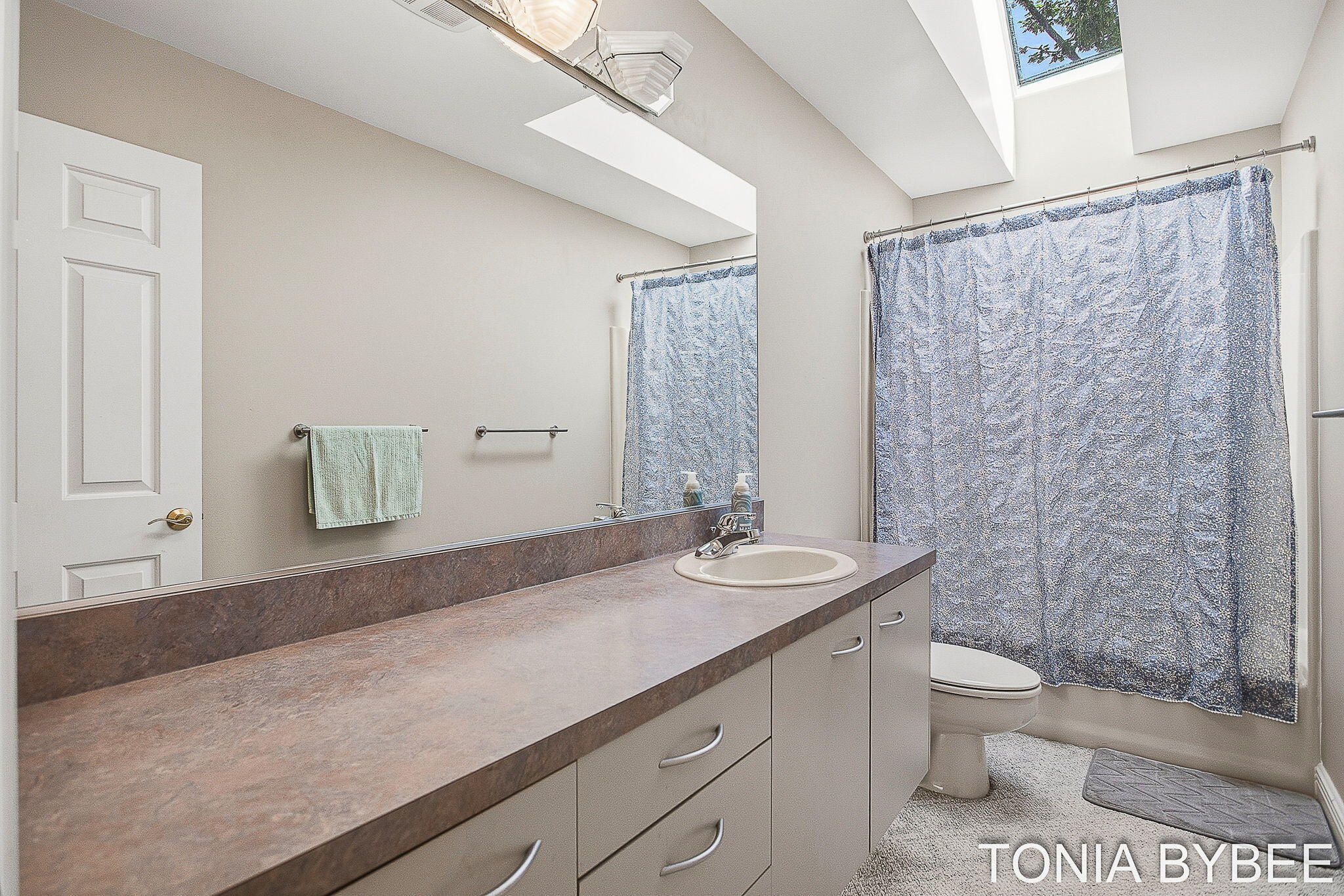 2302 Timberlee Drive Holland MI 49424
