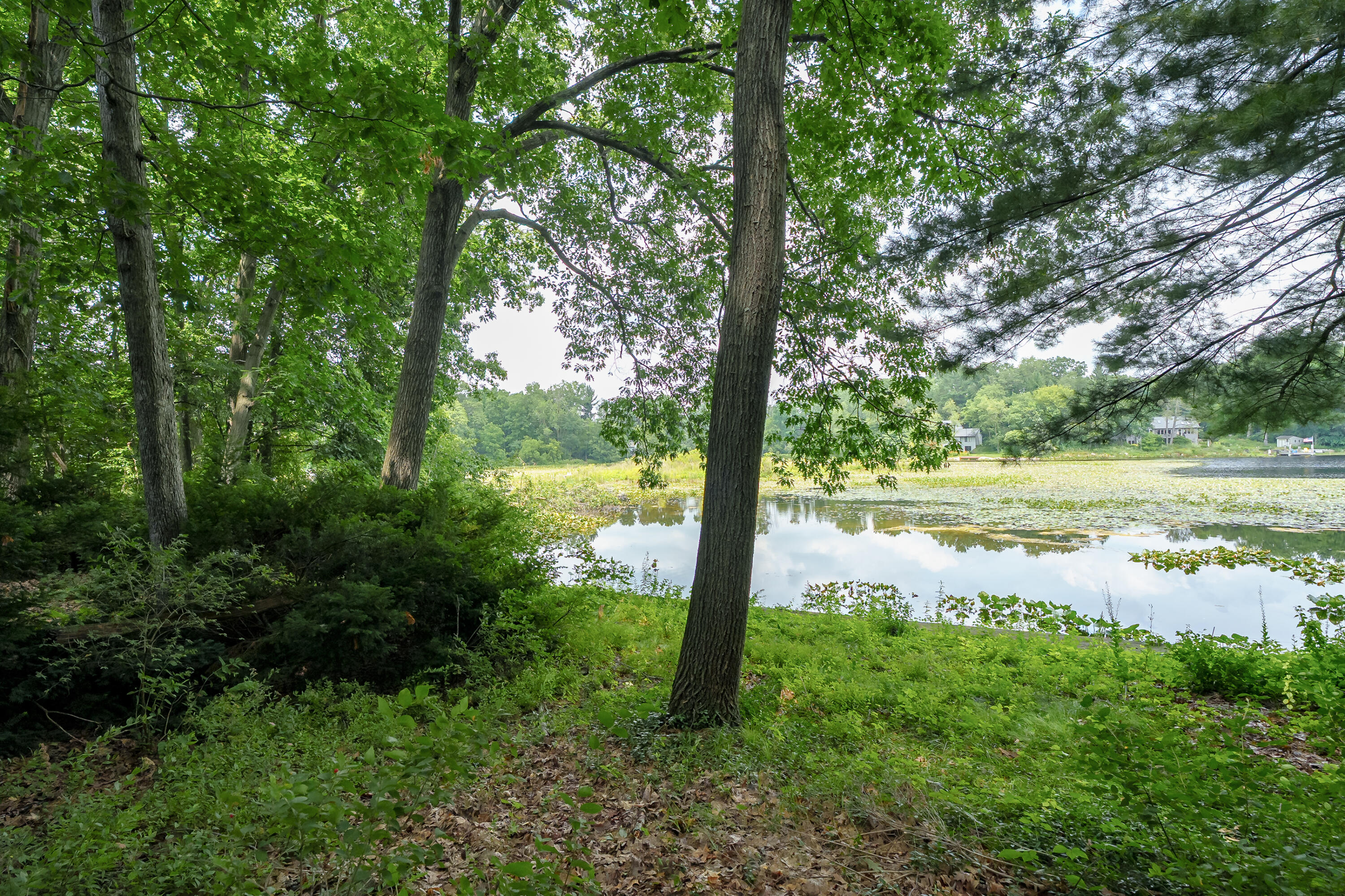 9856 Oak Forest Circle Kalamazoo MI 49009