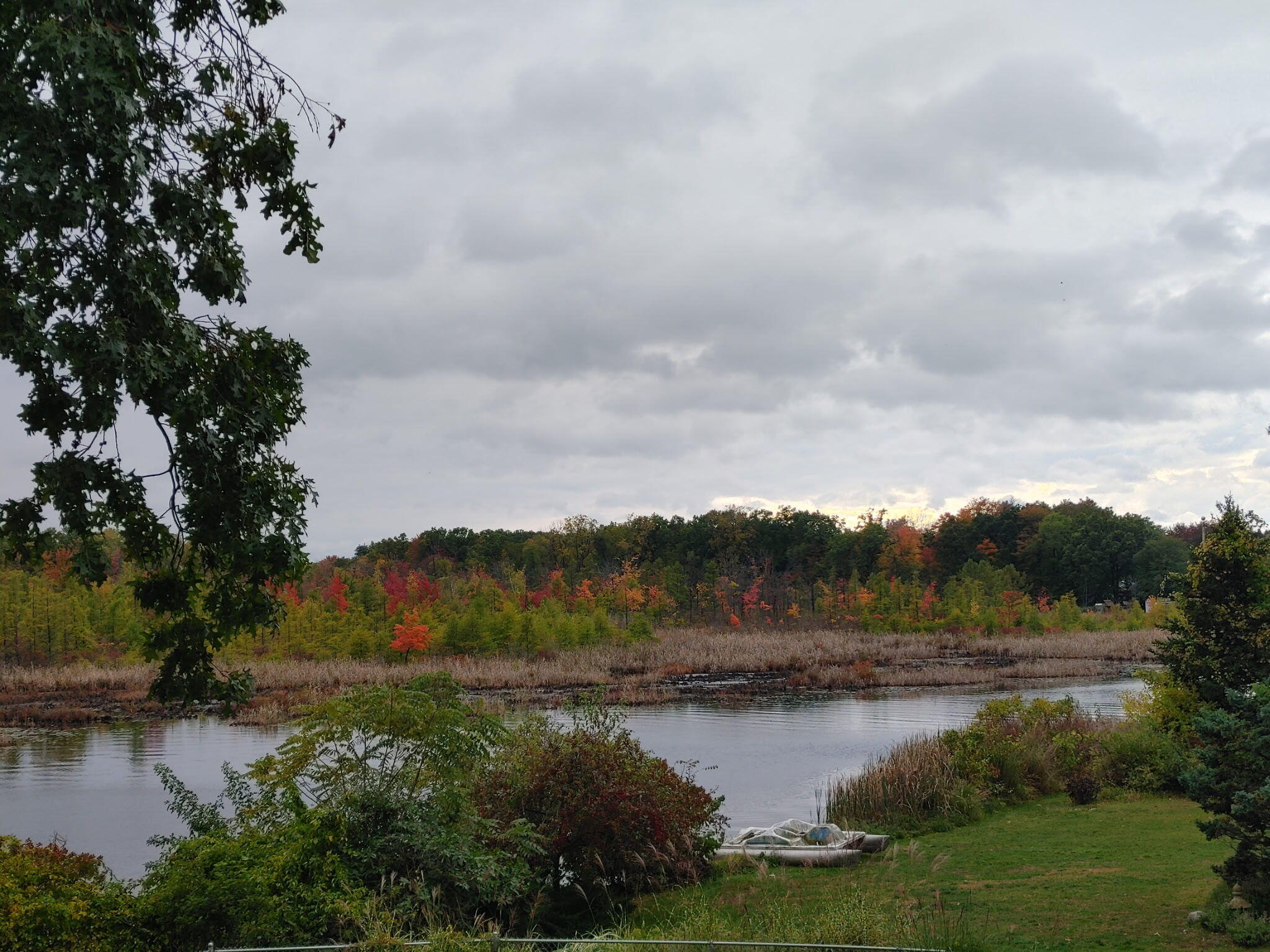 824 Forest Drive Portage MI 49002