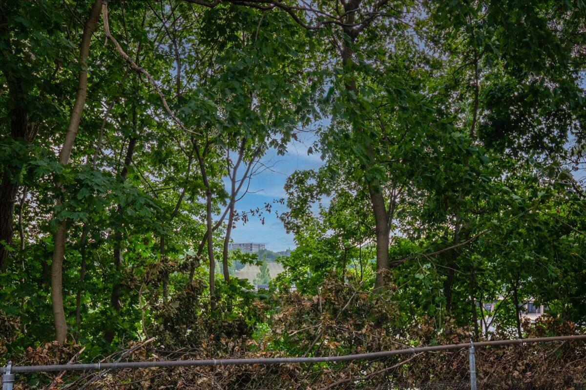 1908 4th Street NW Grand Rapids MI 49504