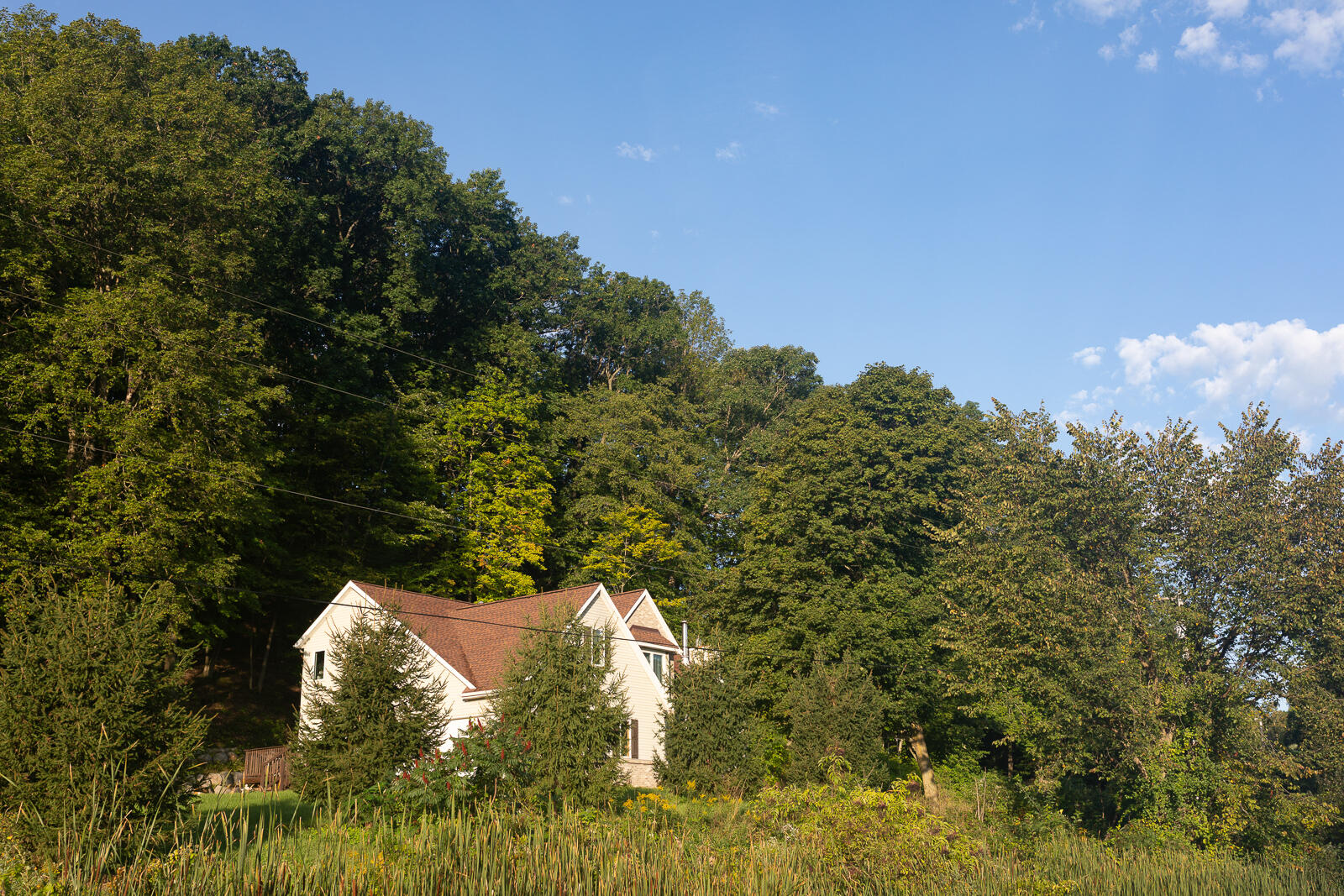 8824 Grand River Drive SE Ada MI 49301
