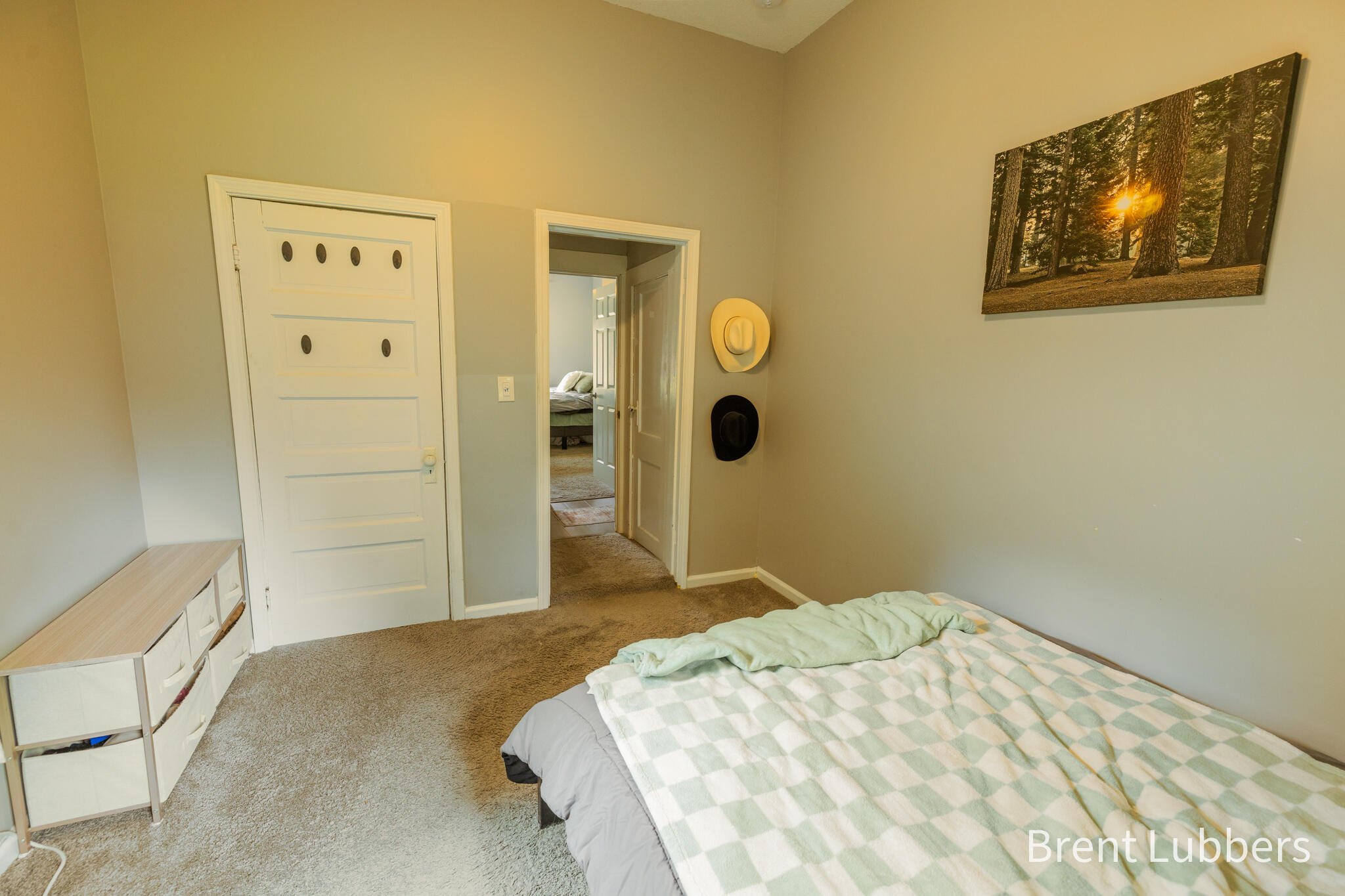 216 E Delaware Street Decatur MI 49045