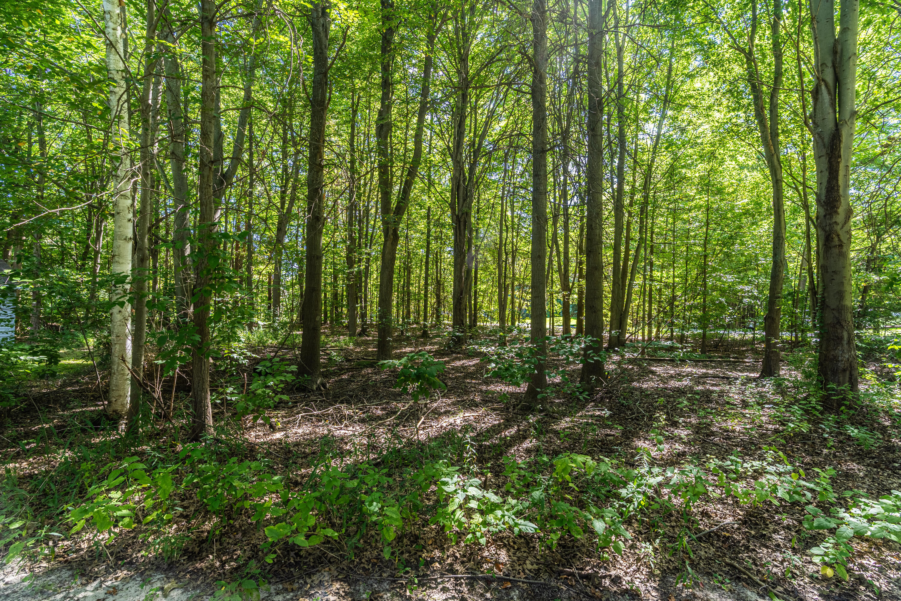 5480 Hidden Acres Court Holland MI 49424