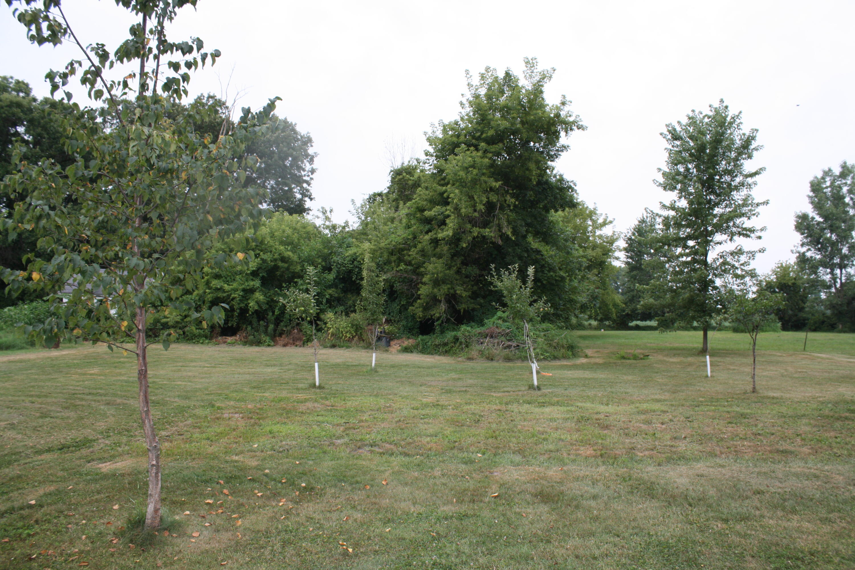 605 64th Avenue Zeeland MI 49464