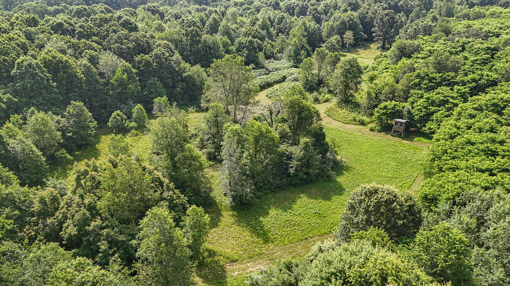 86960 County Road 681 Decatur MI 49045