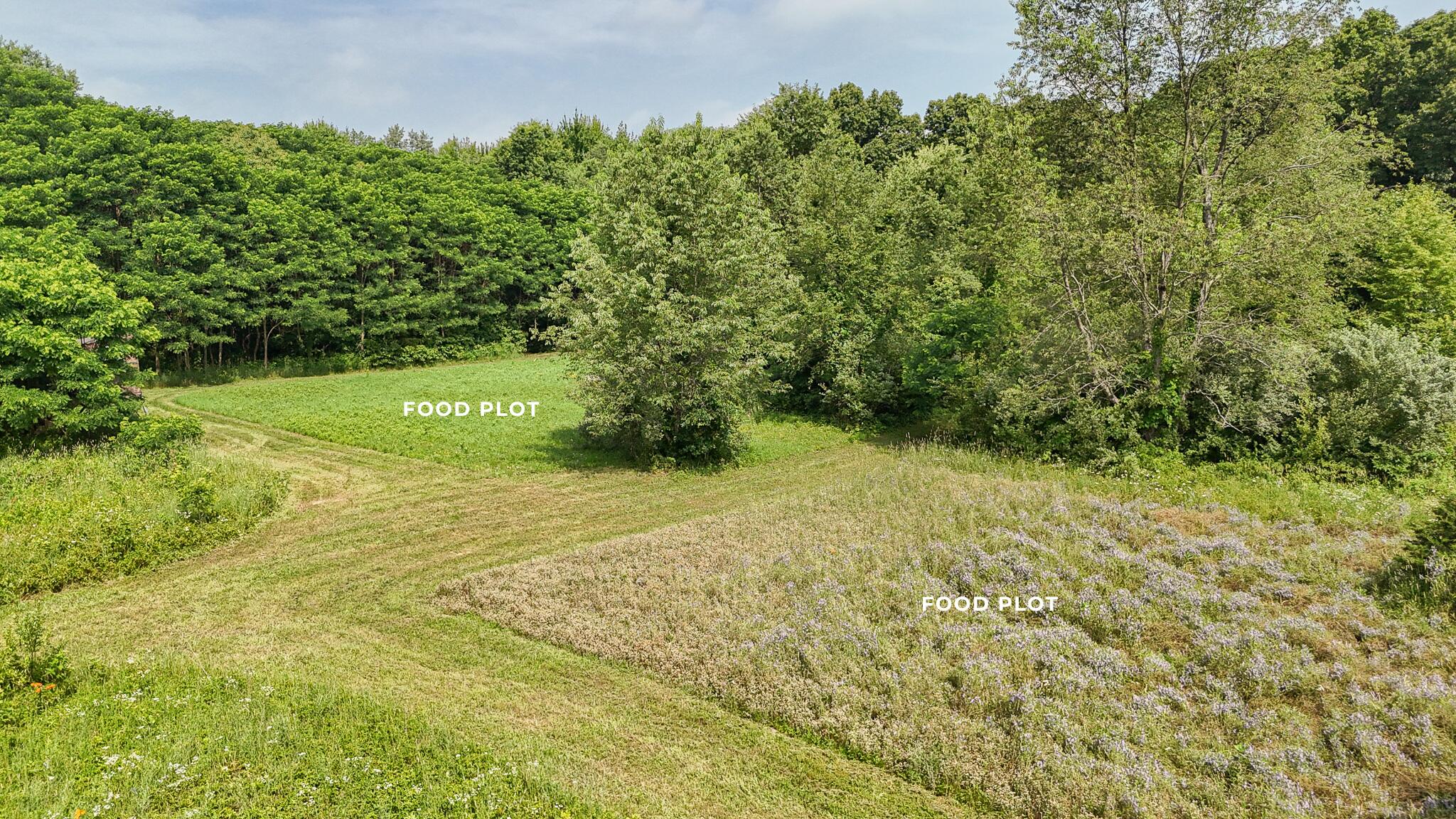 86960 County Road 681 Decatur MI 49045