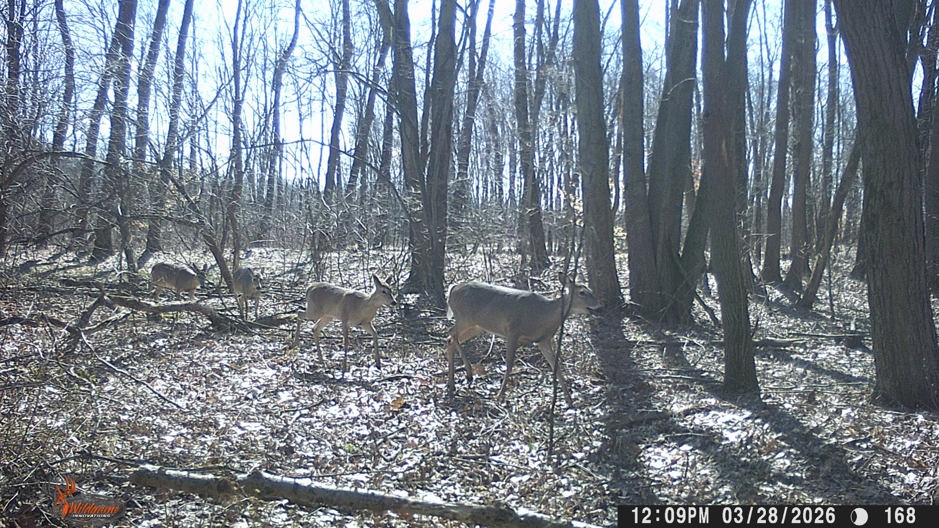 86960 County Road 681 Decatur MI 49045