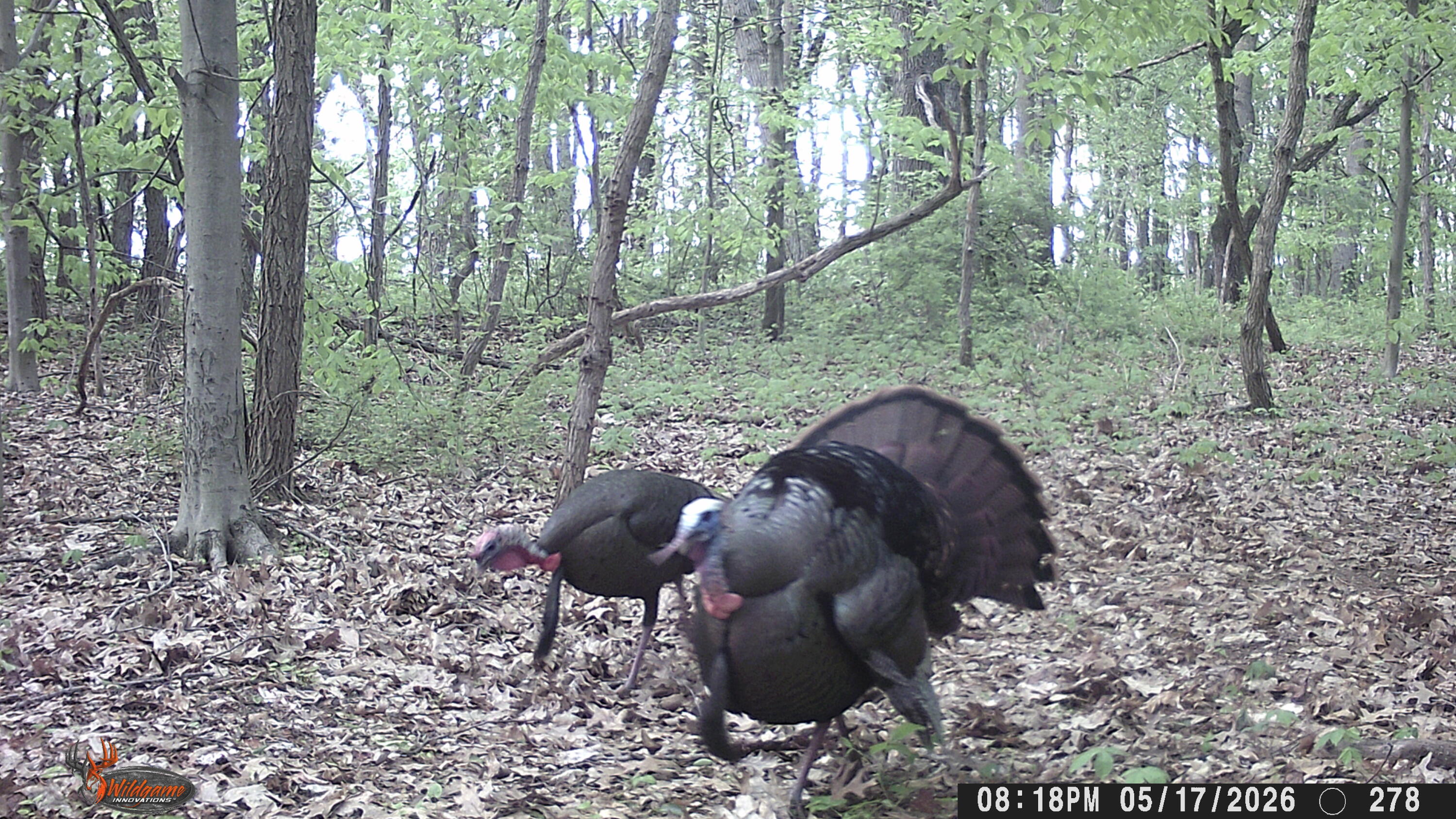 86960 County Road 681 Decatur MI 49045