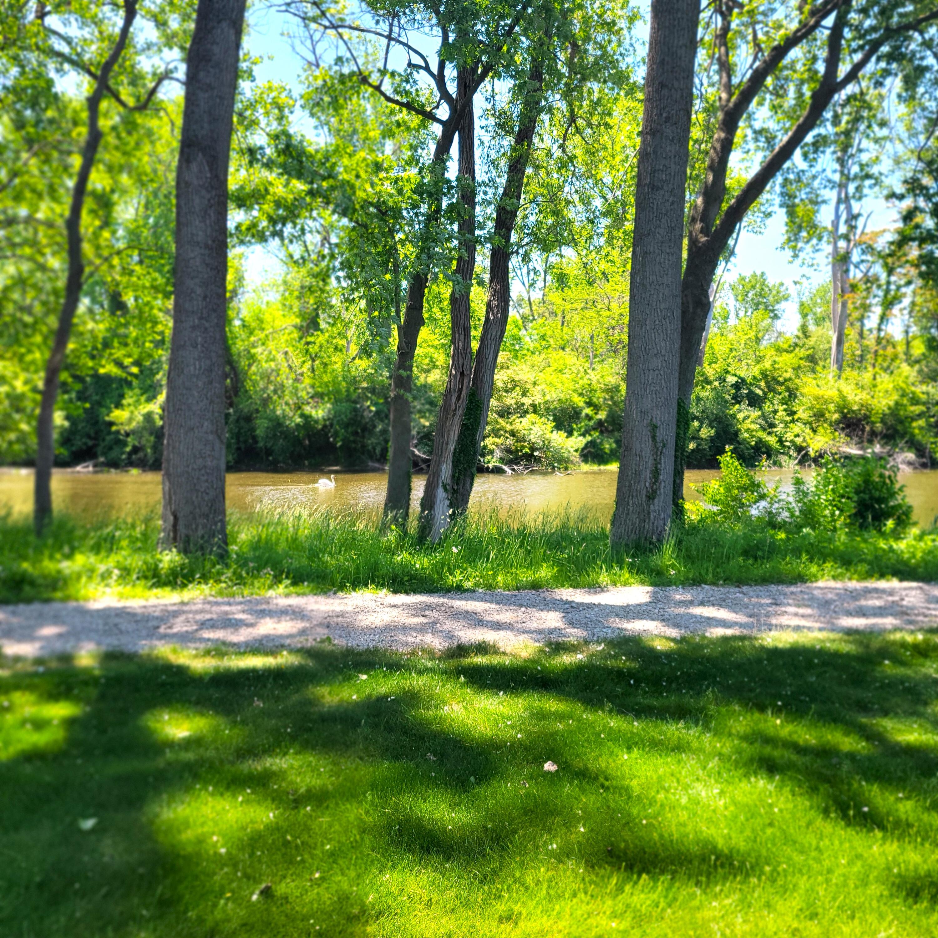 318 Morning Walk Path Benton Harbor MI 49022