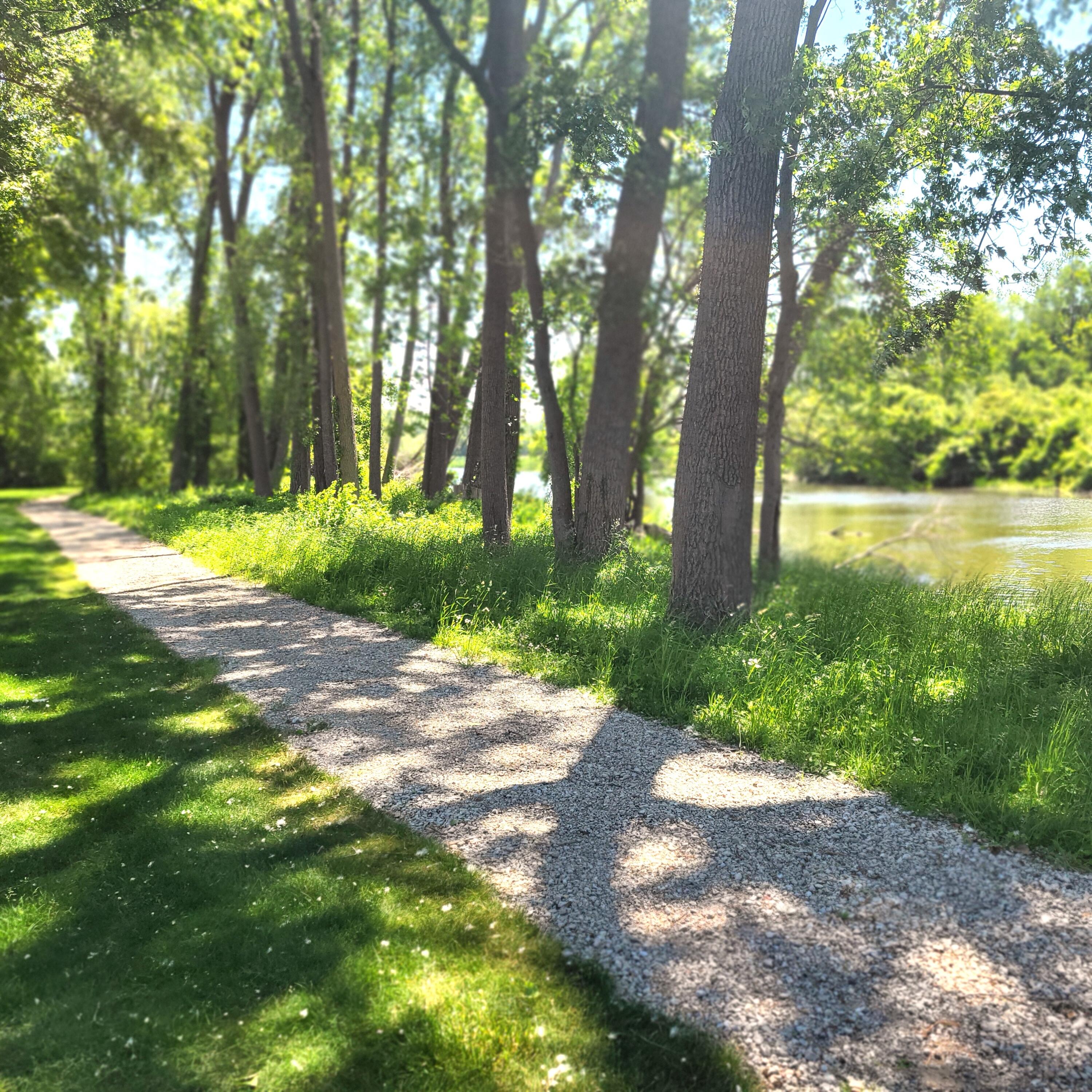 318 Morning Walk Path Benton Harbor MI 49022