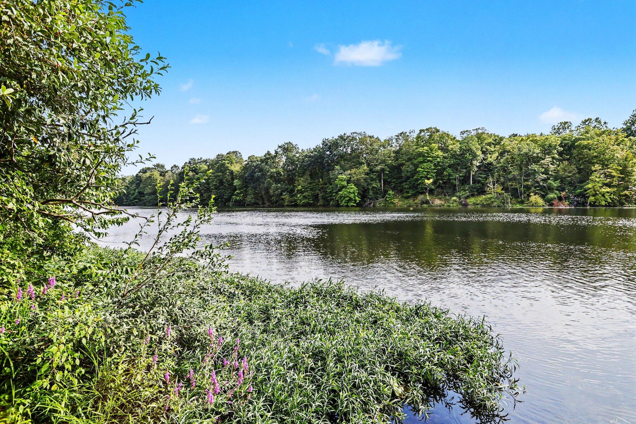 4531 Mead Road Buchanan MI 49107
