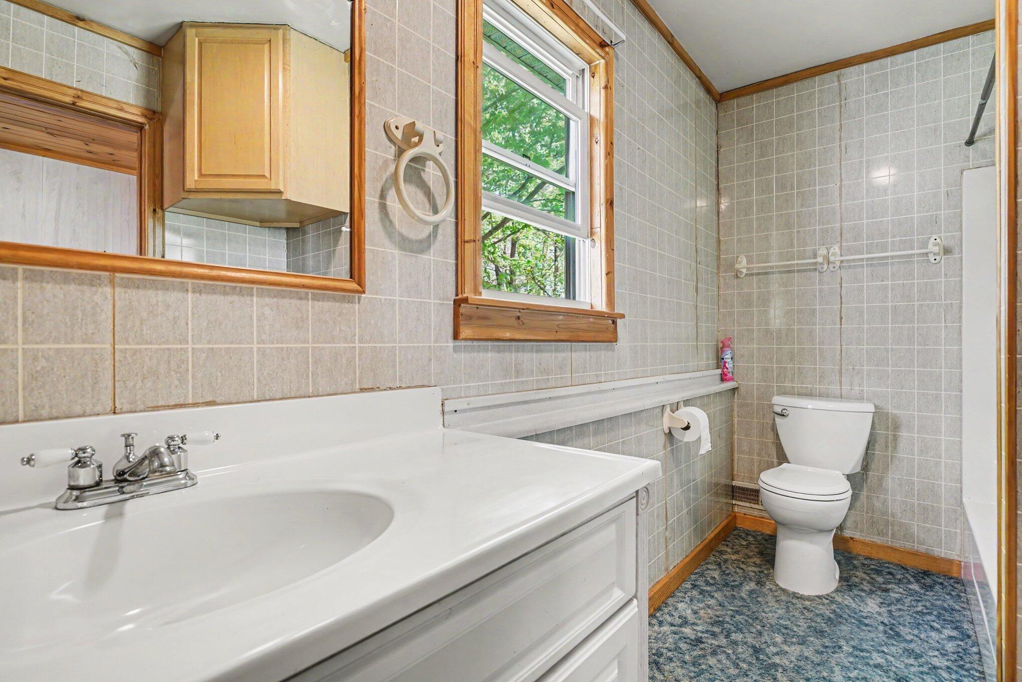 24935 Sandy Beach Drive Edwardsburg MI 49112