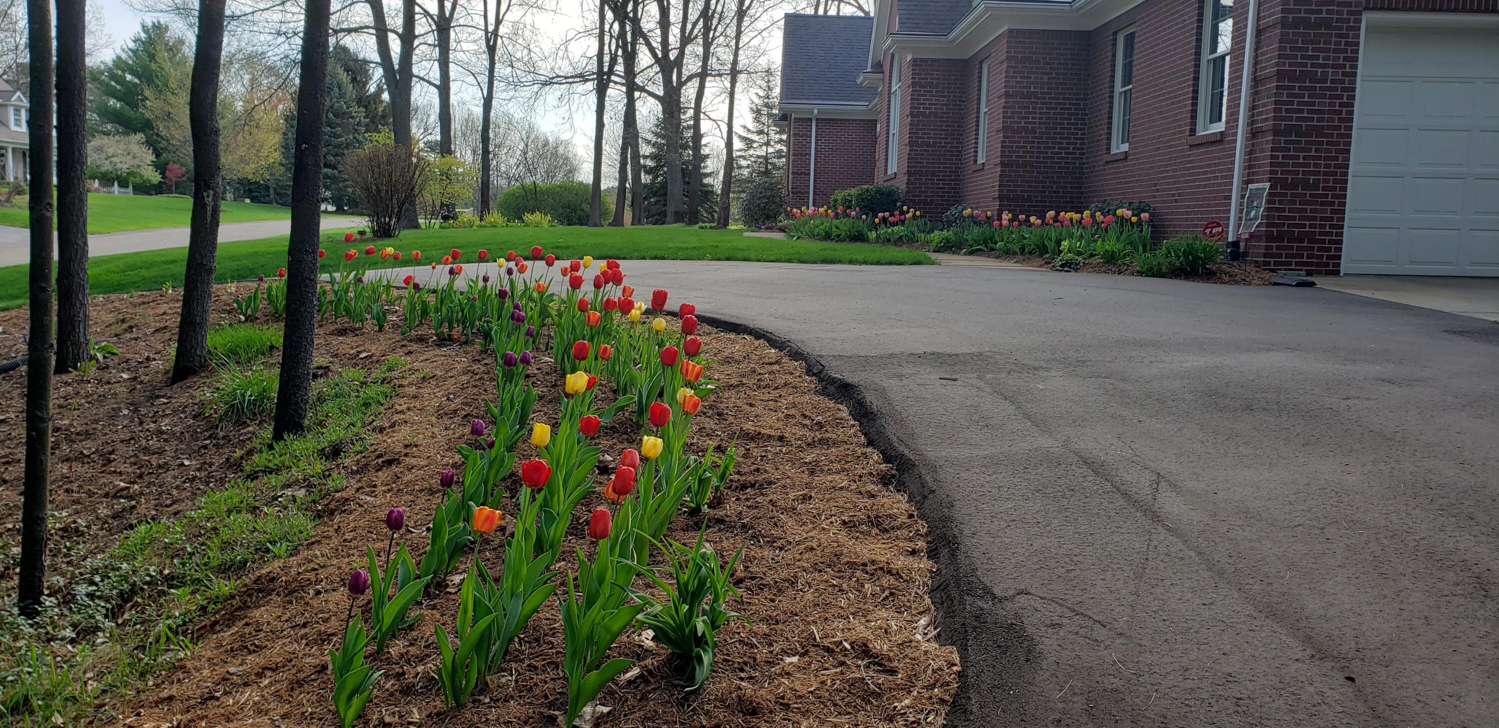 6544 Egypt Ridge Road NE Rockford MI 49341