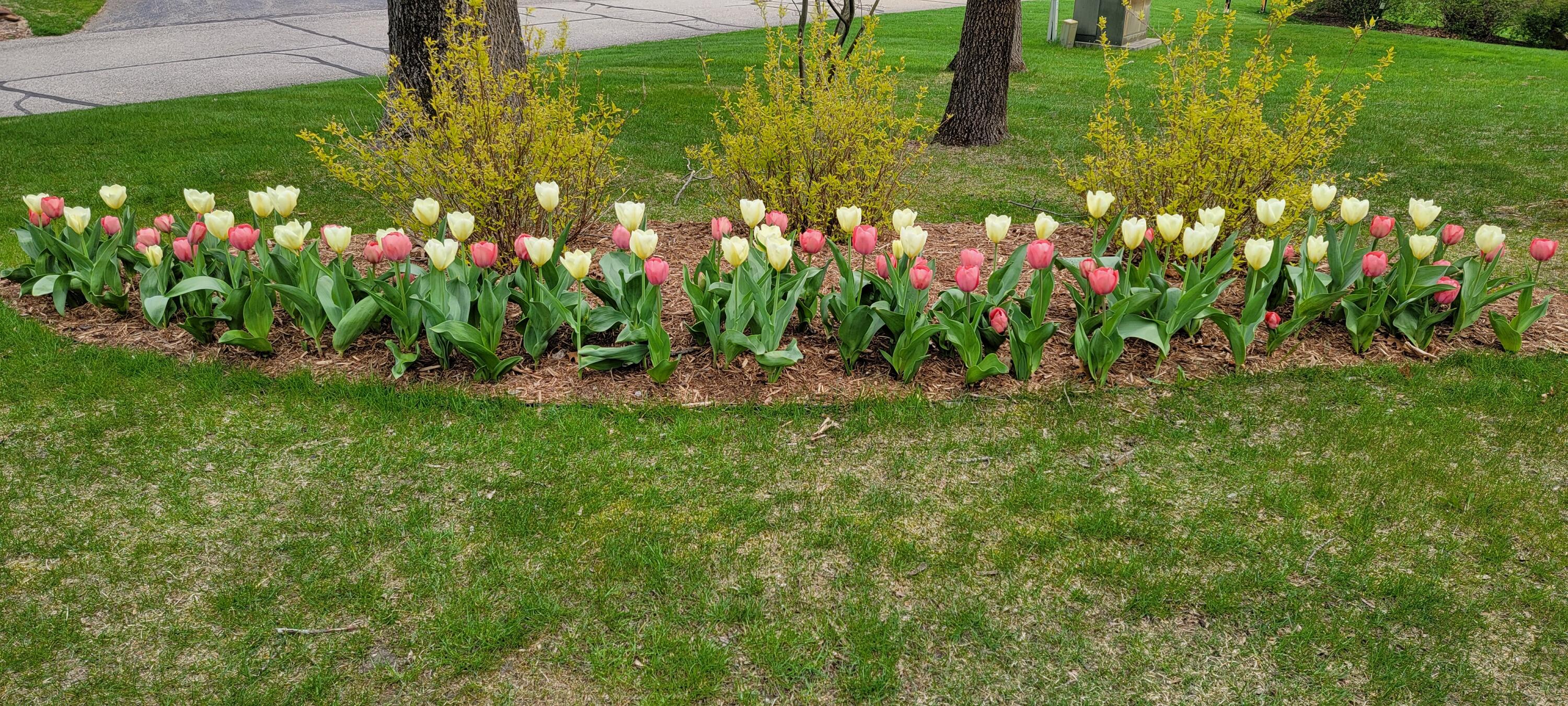 6544 Egypt Ridge Road NE Rockford MI 49341