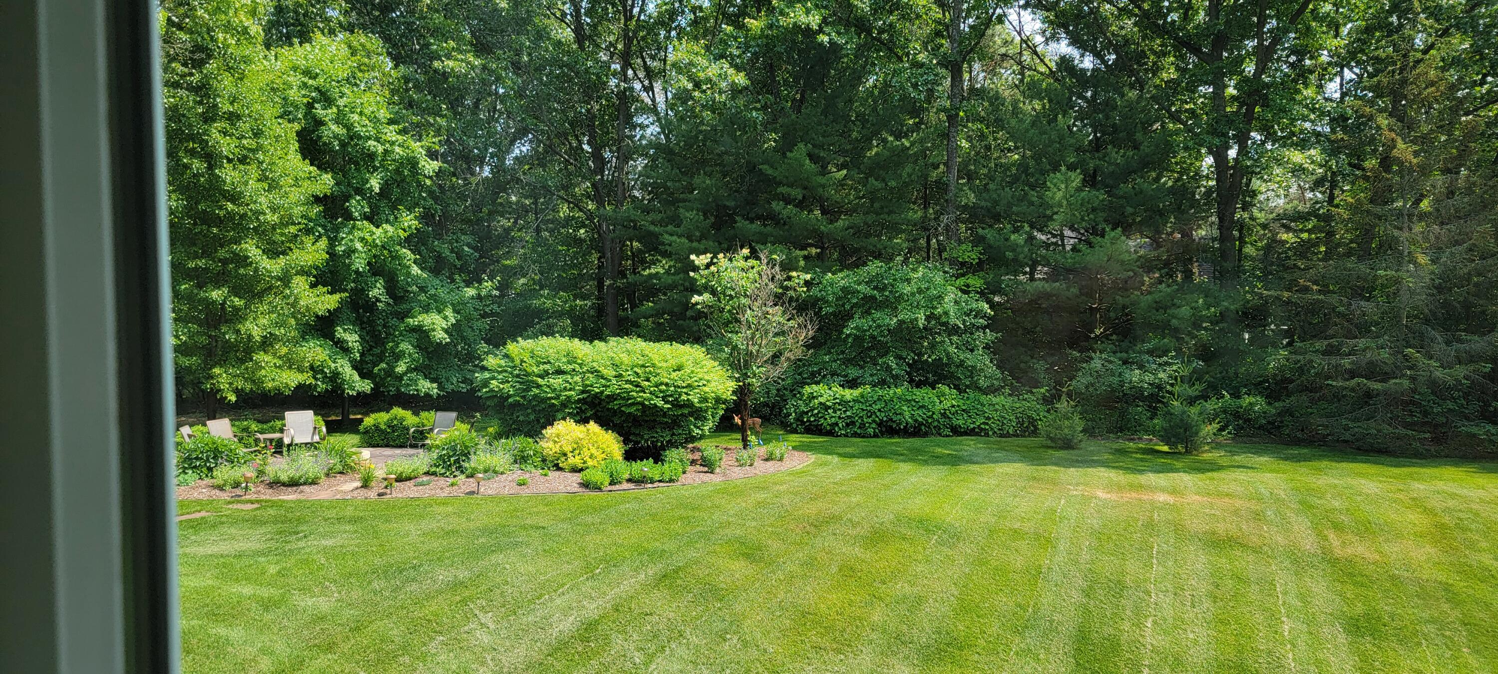 6544 Egypt Ridge Road NE Rockford MI 49341