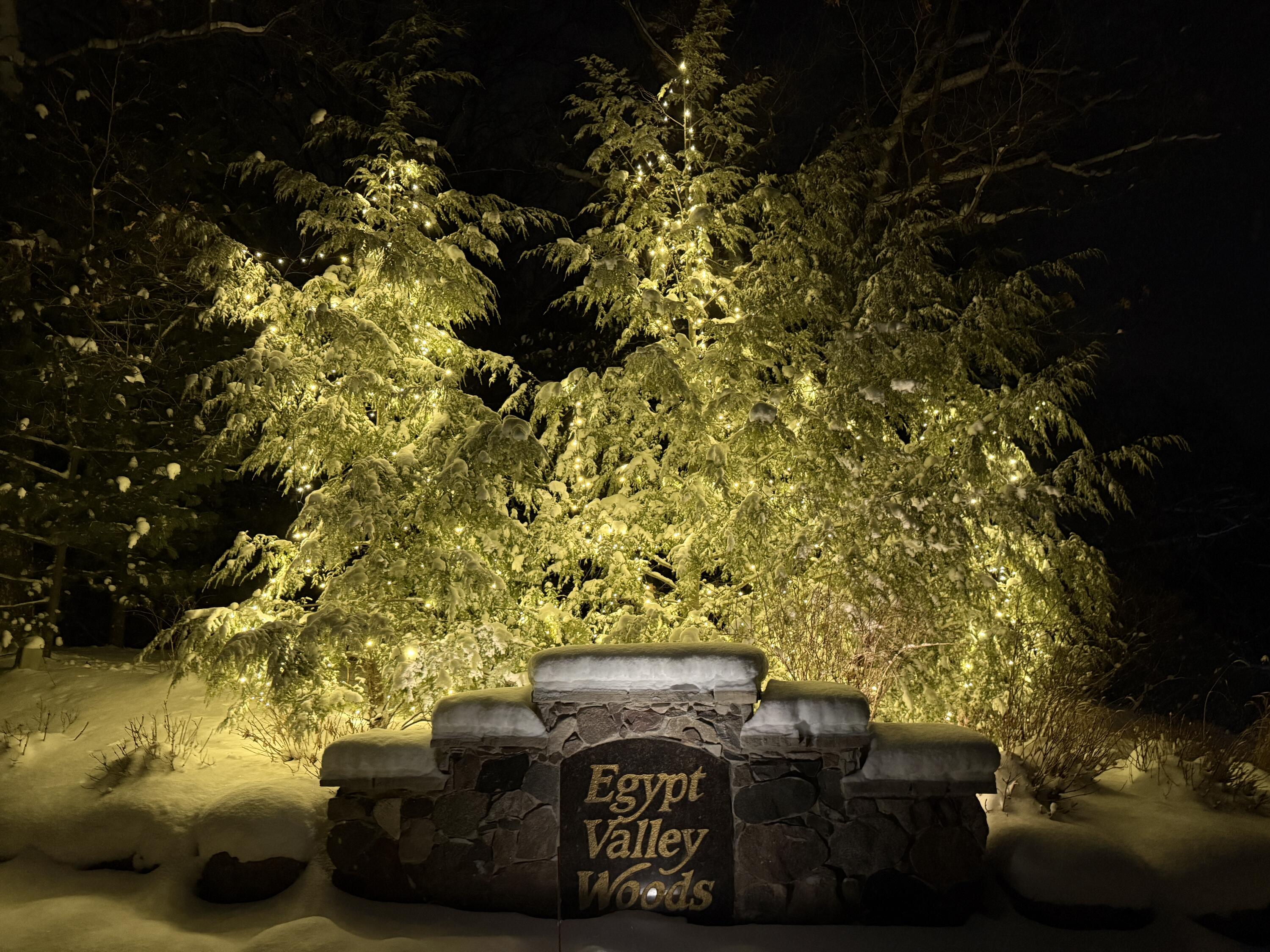 6544 Egypt Ridge Road NE Rockford MI 49341