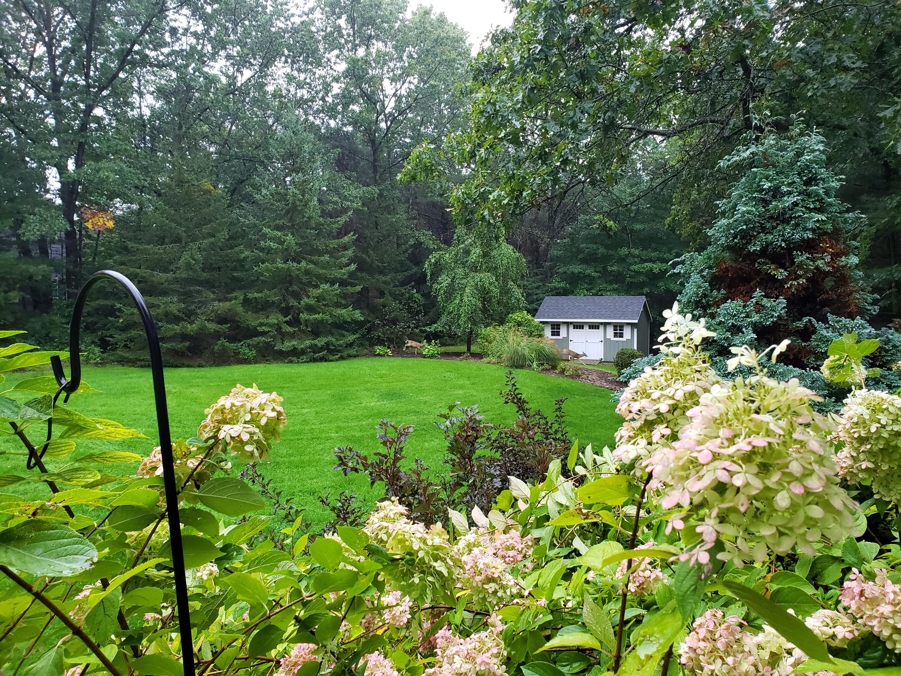 6544 Egypt Ridge Road NE Rockford MI 49341