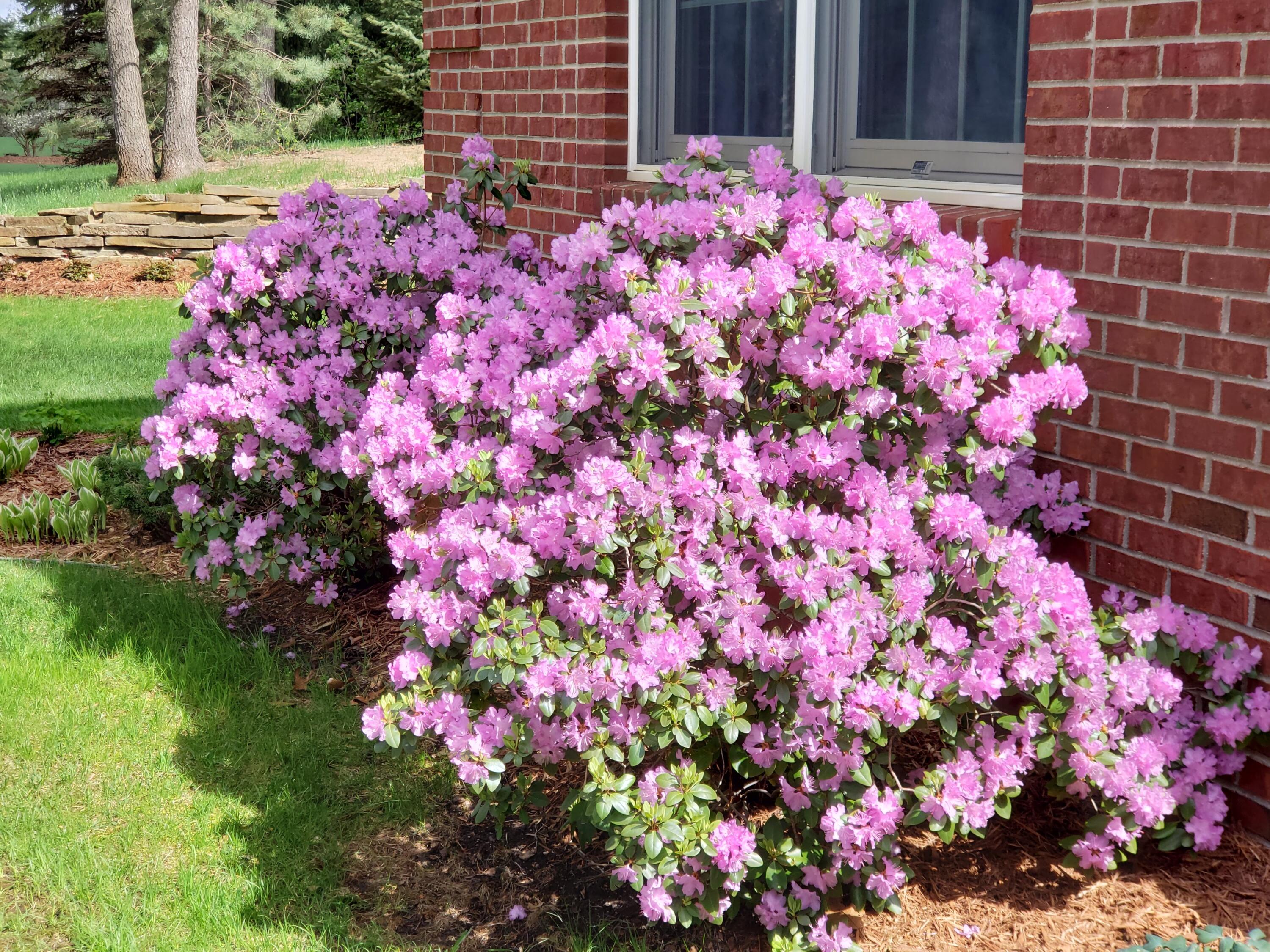 6544 Egypt Ridge Road NE Rockford MI 49341